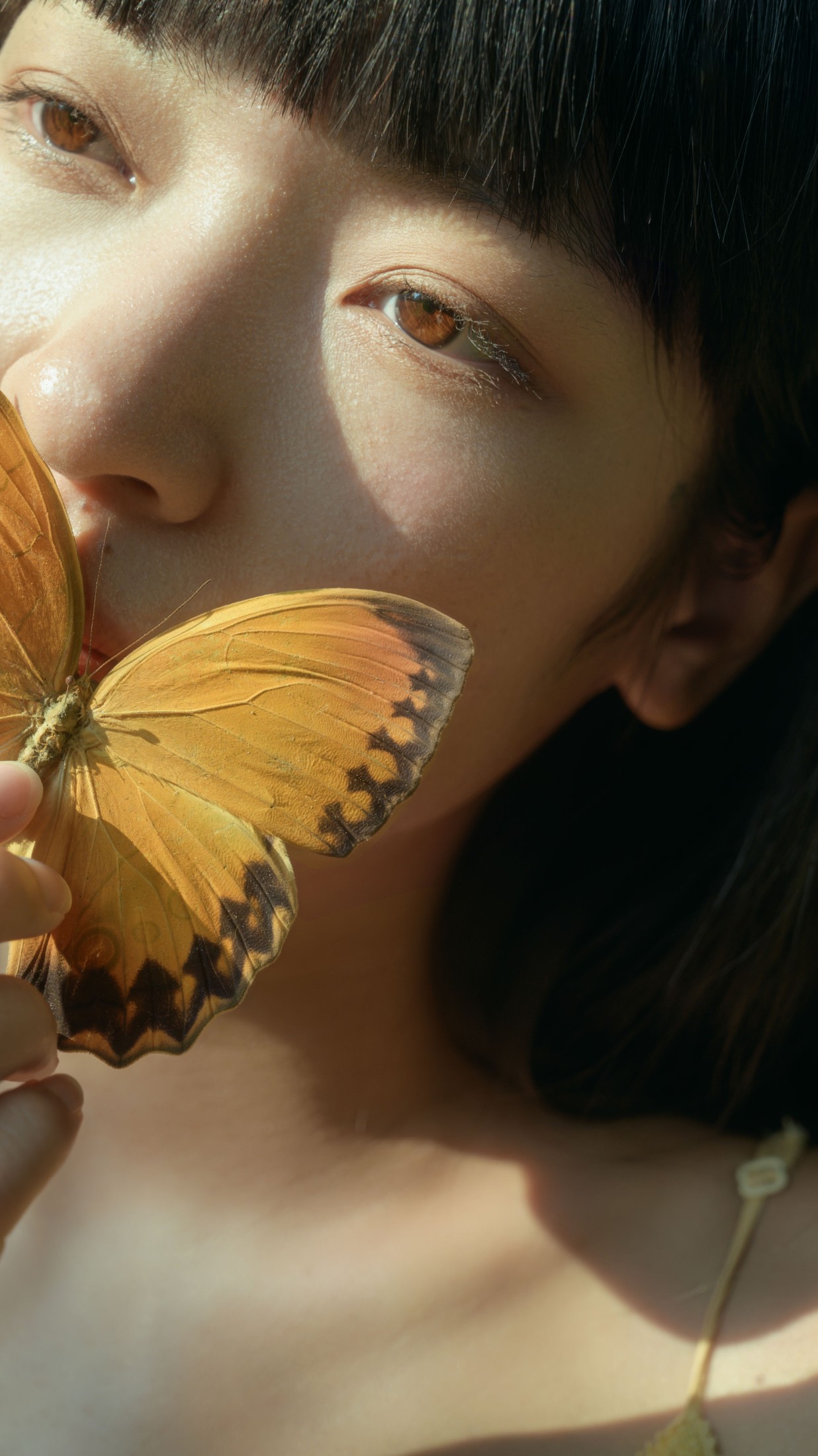 山野小果 – 《丁达尔树林》[15P]