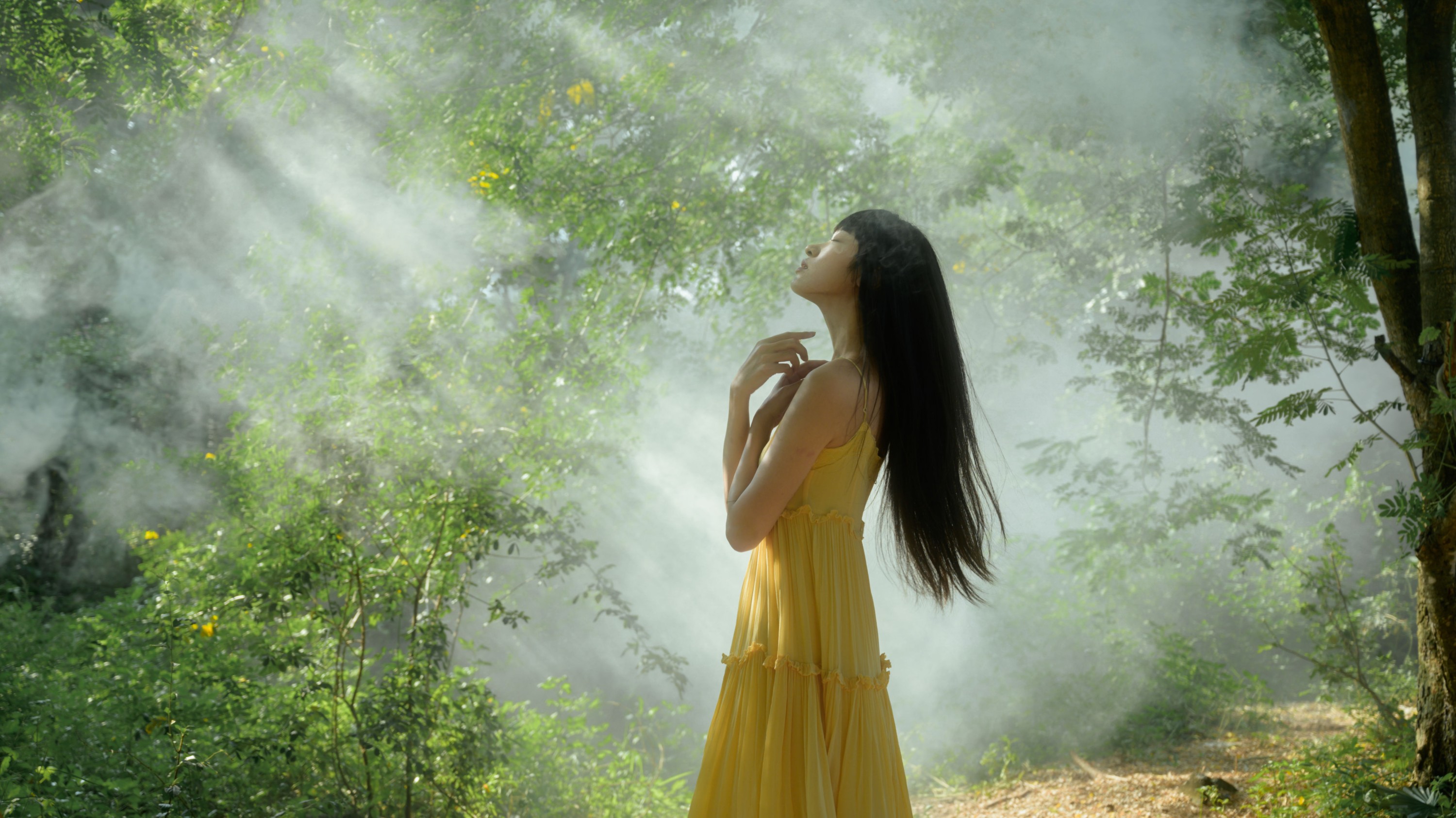 山野小果 – 《丁达尔树林》[15P]