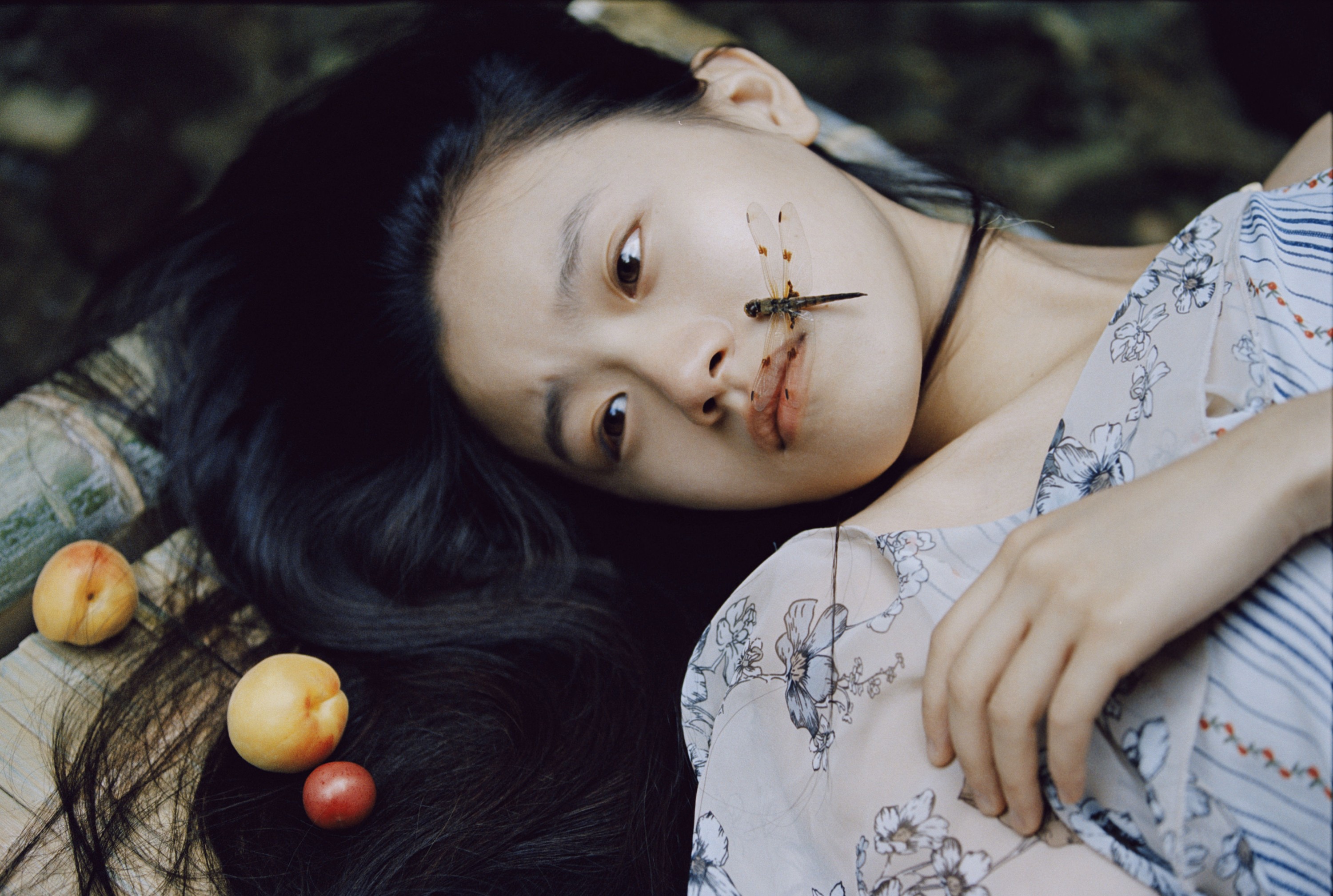 vous – 《蜻蜓之梦》[54P]