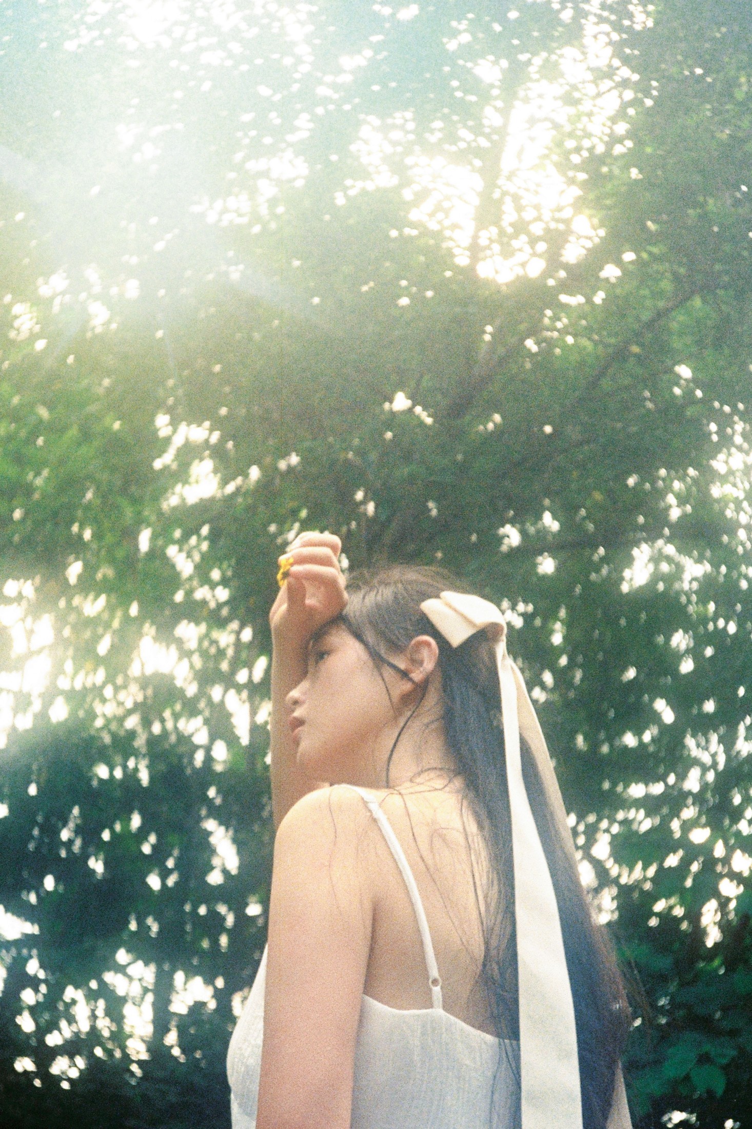 暴躁的小矮人： – 《树是另一种意义的海》[15P]