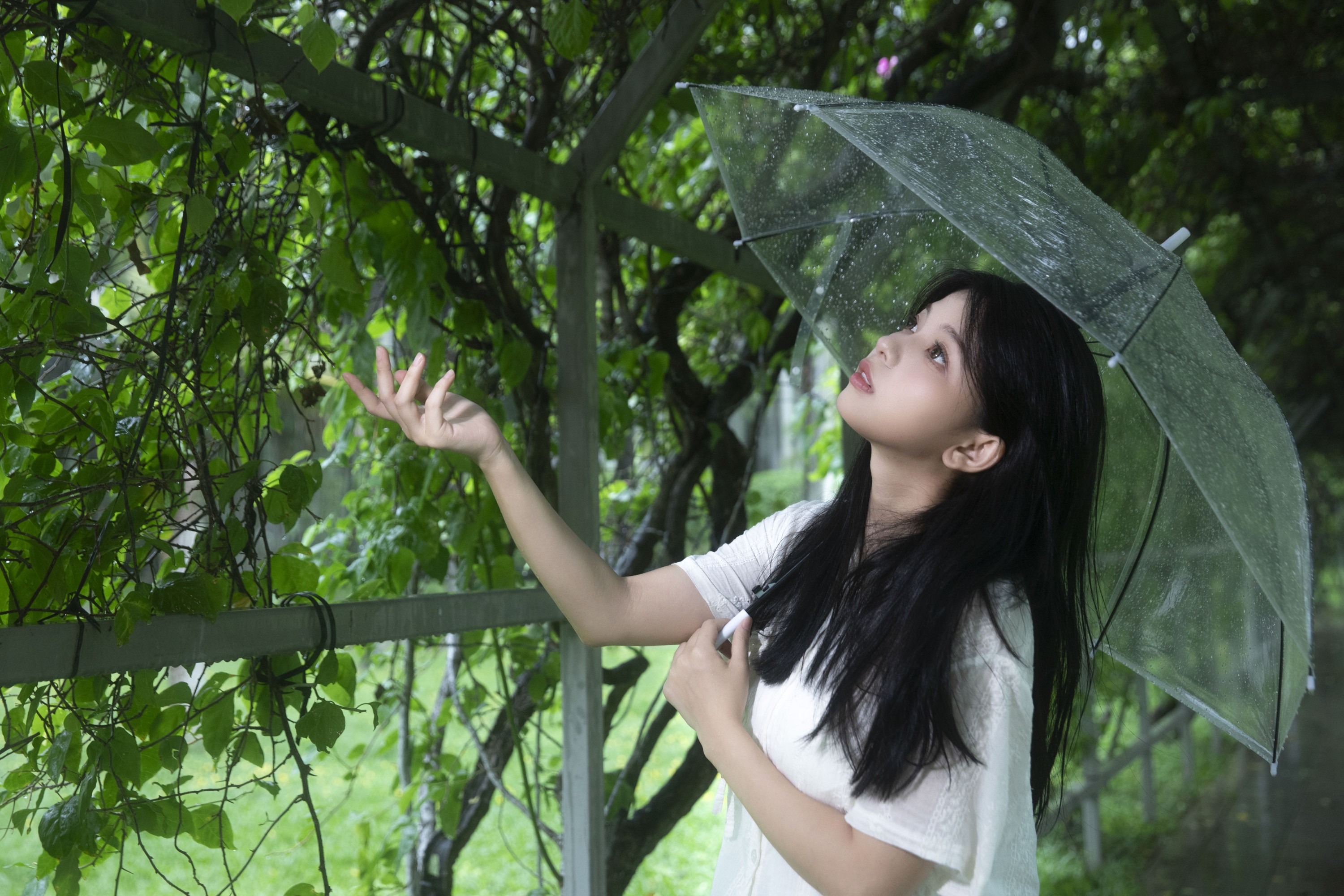 Cookie_ – 《青苹果》[26P]