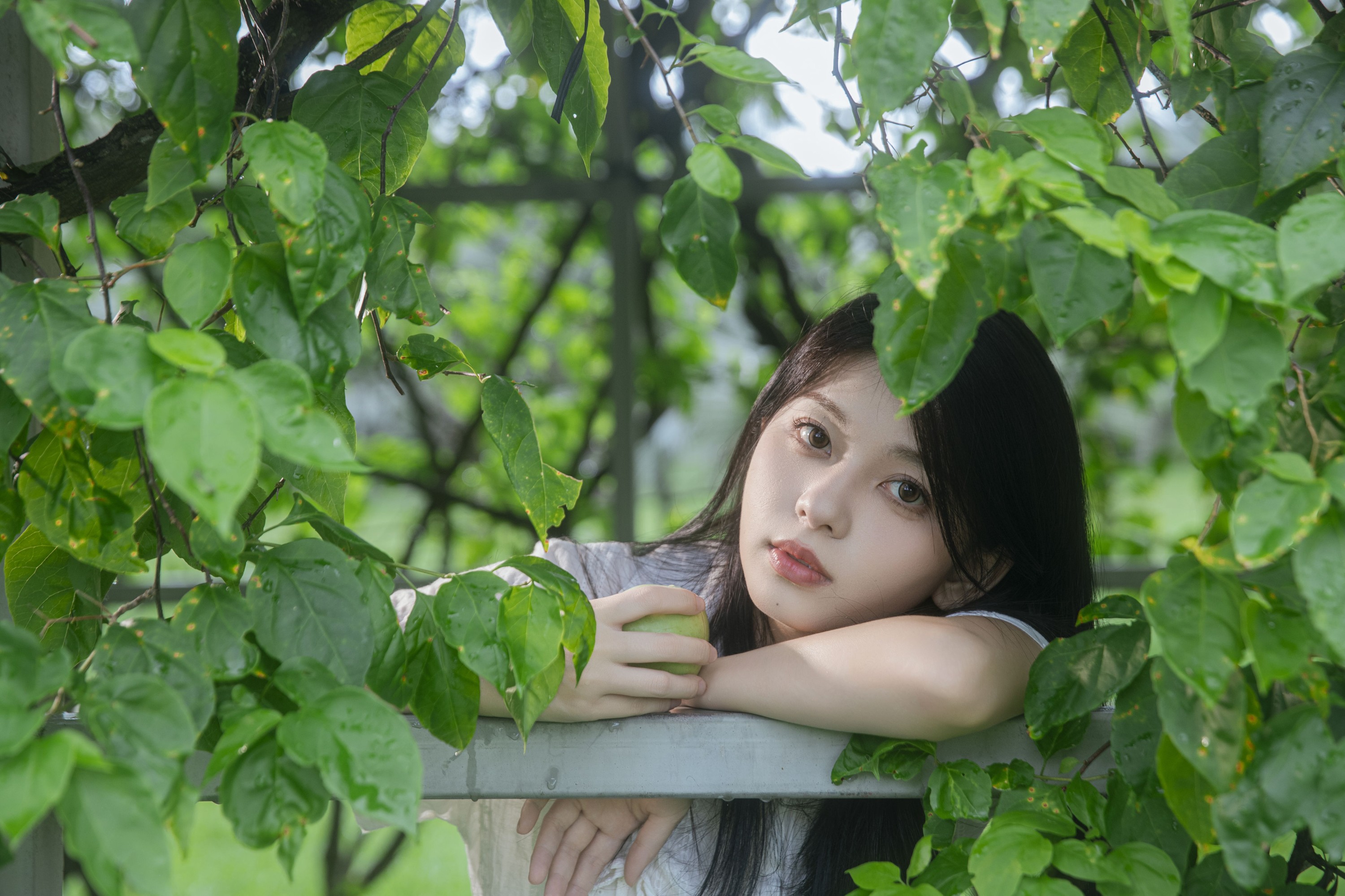 Cookie_ – 《青苹果》[26P]