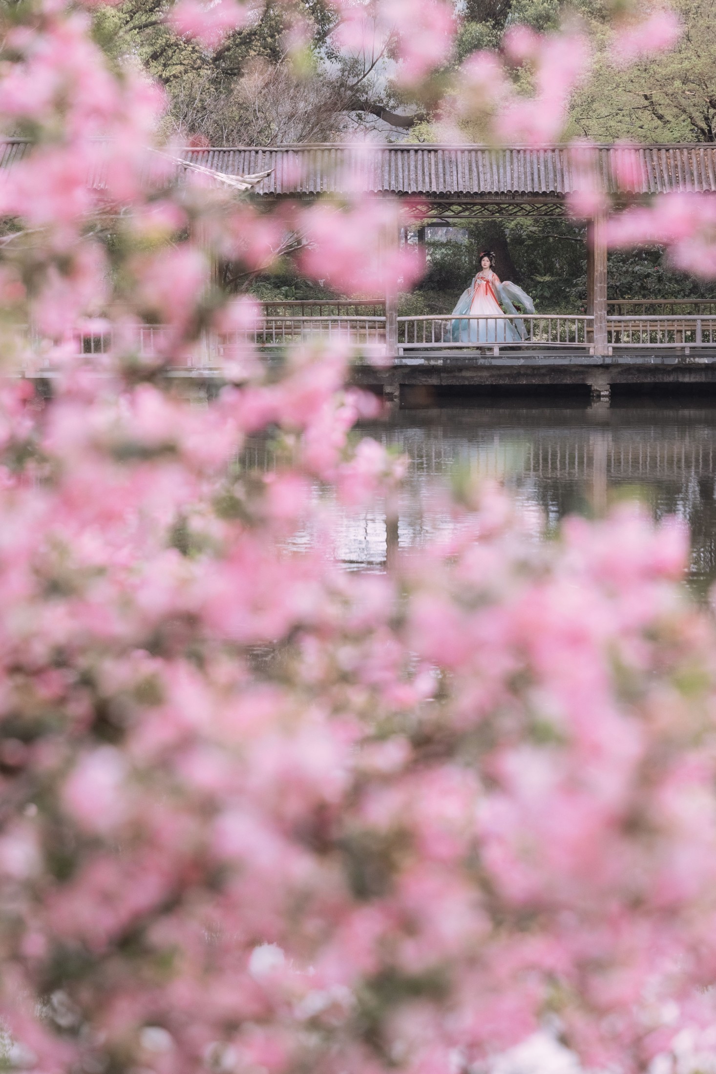 静若初夏 – 《海棠春色》[43P]