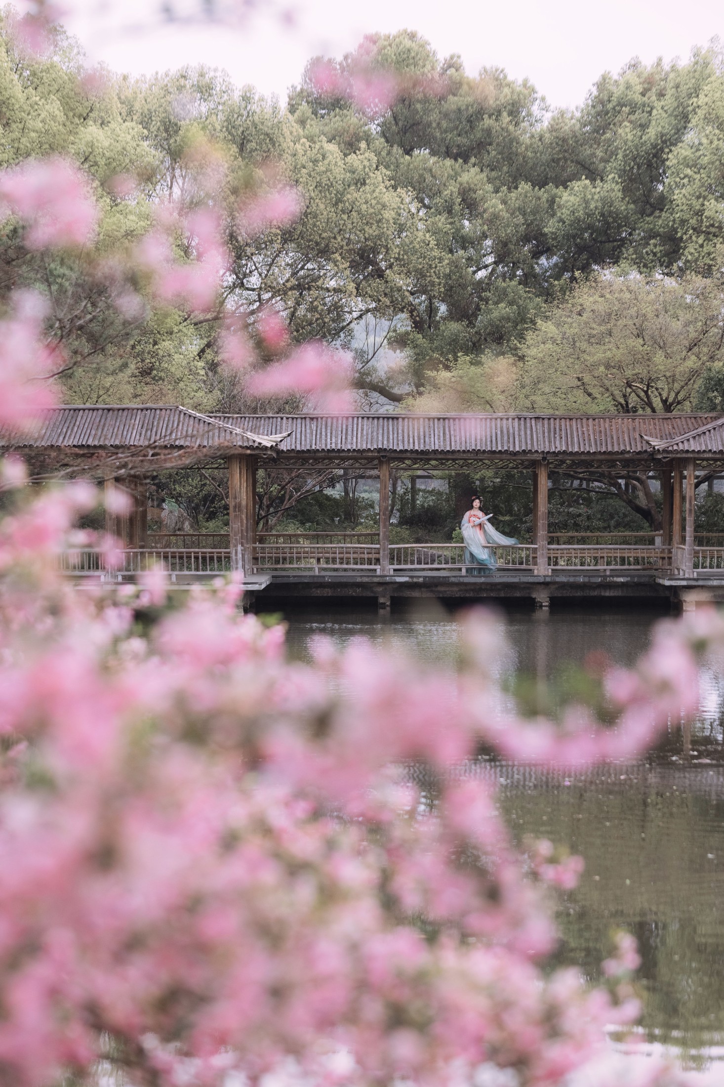 静若初夏 – 《海棠春色》[43P]