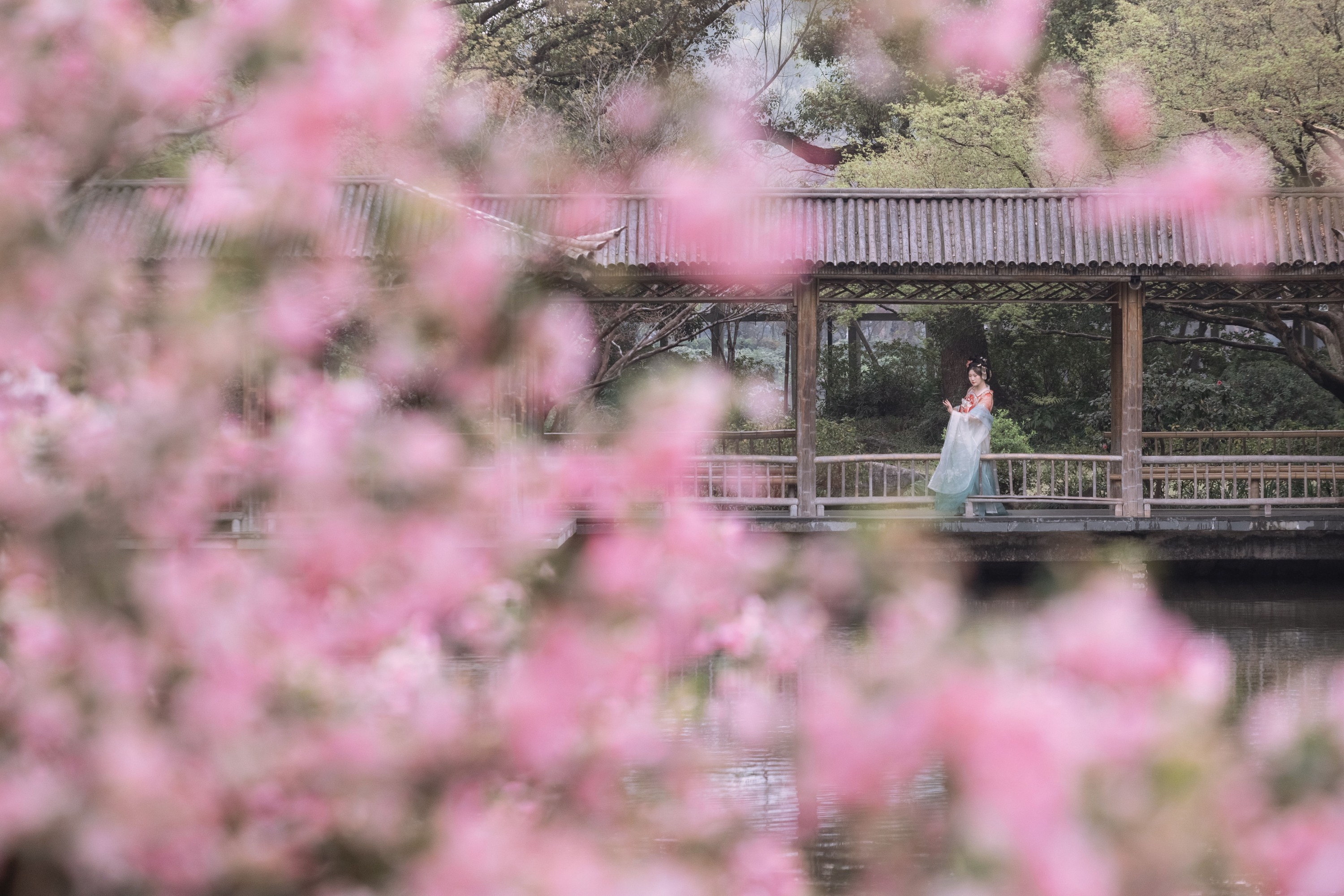 静若初夏 – 《海棠春色》[43P]