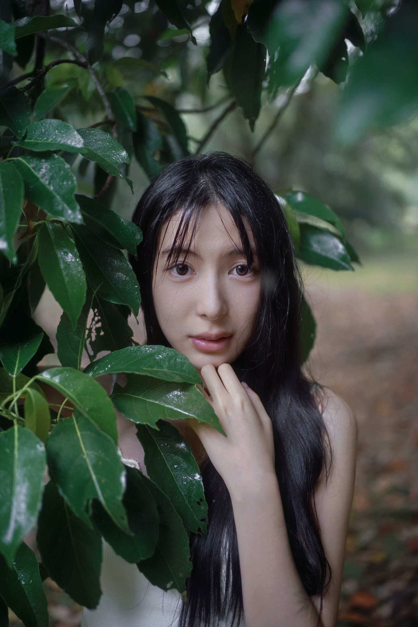 0831 – 《雨林微雨・少女的湿漉漉童话》[36P]