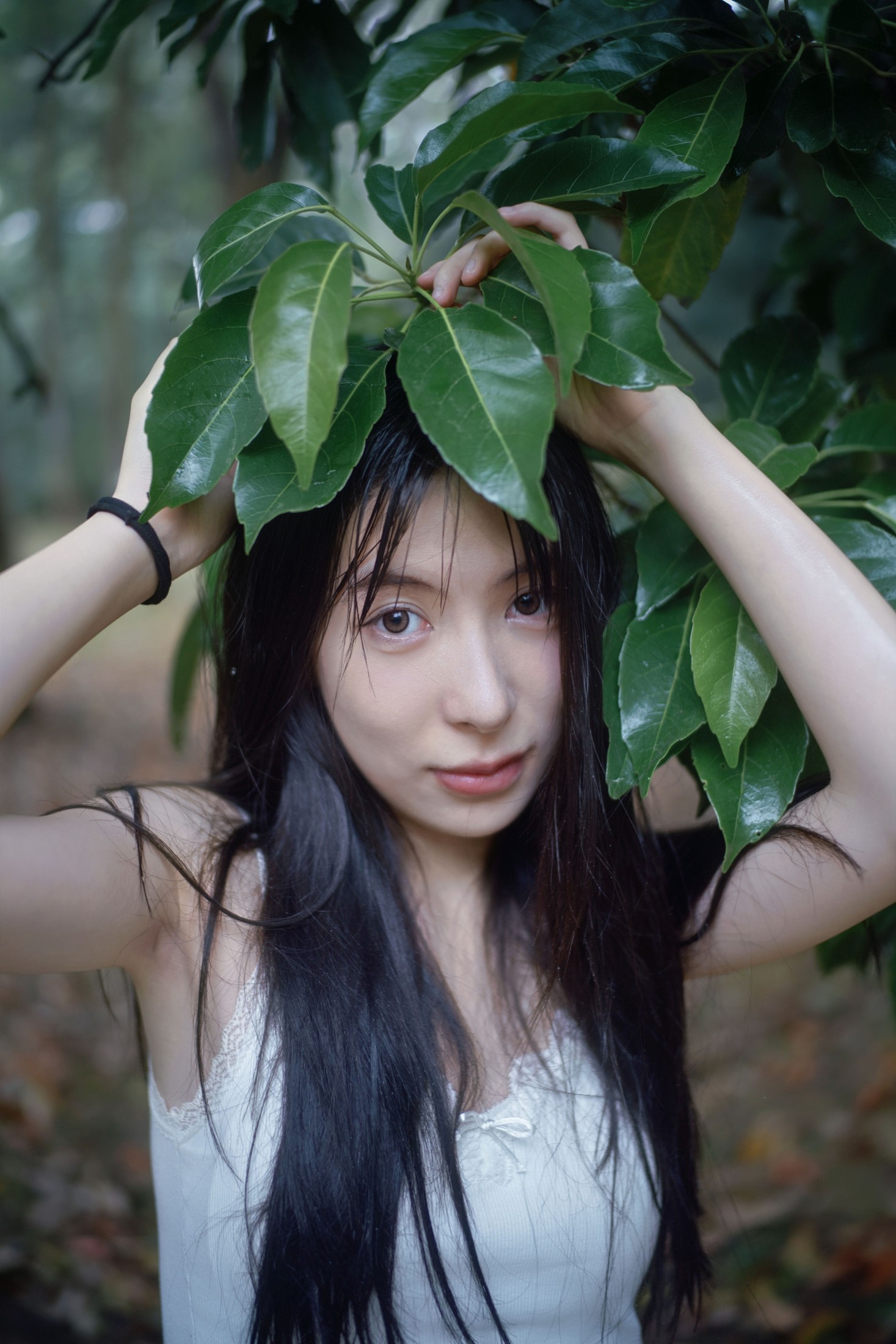 0831 – 《雨林微雨・少女的湿漉漉童话》[36P]