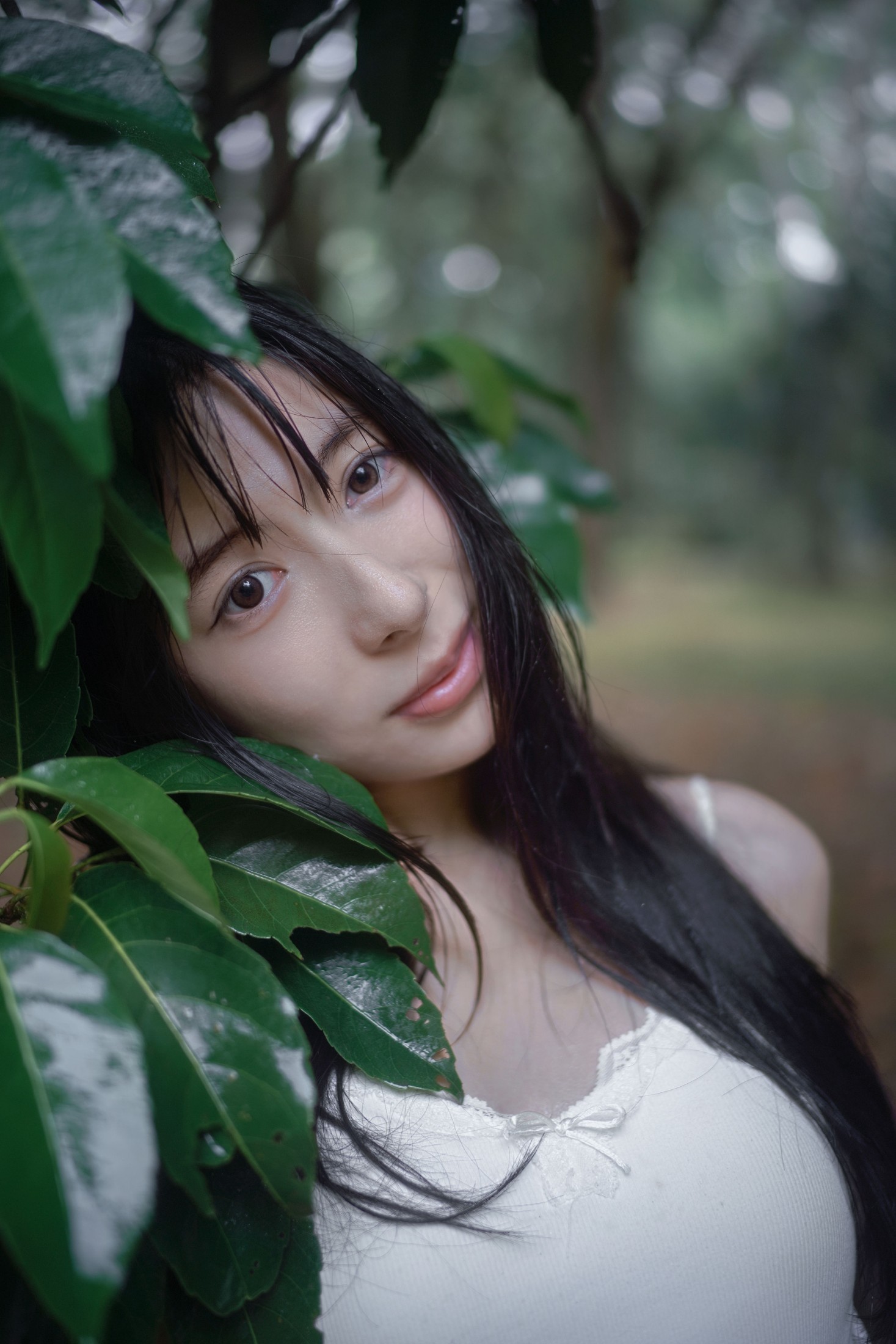 0831 – 《雨林微雨・少女的湿漉漉童话》[36P]