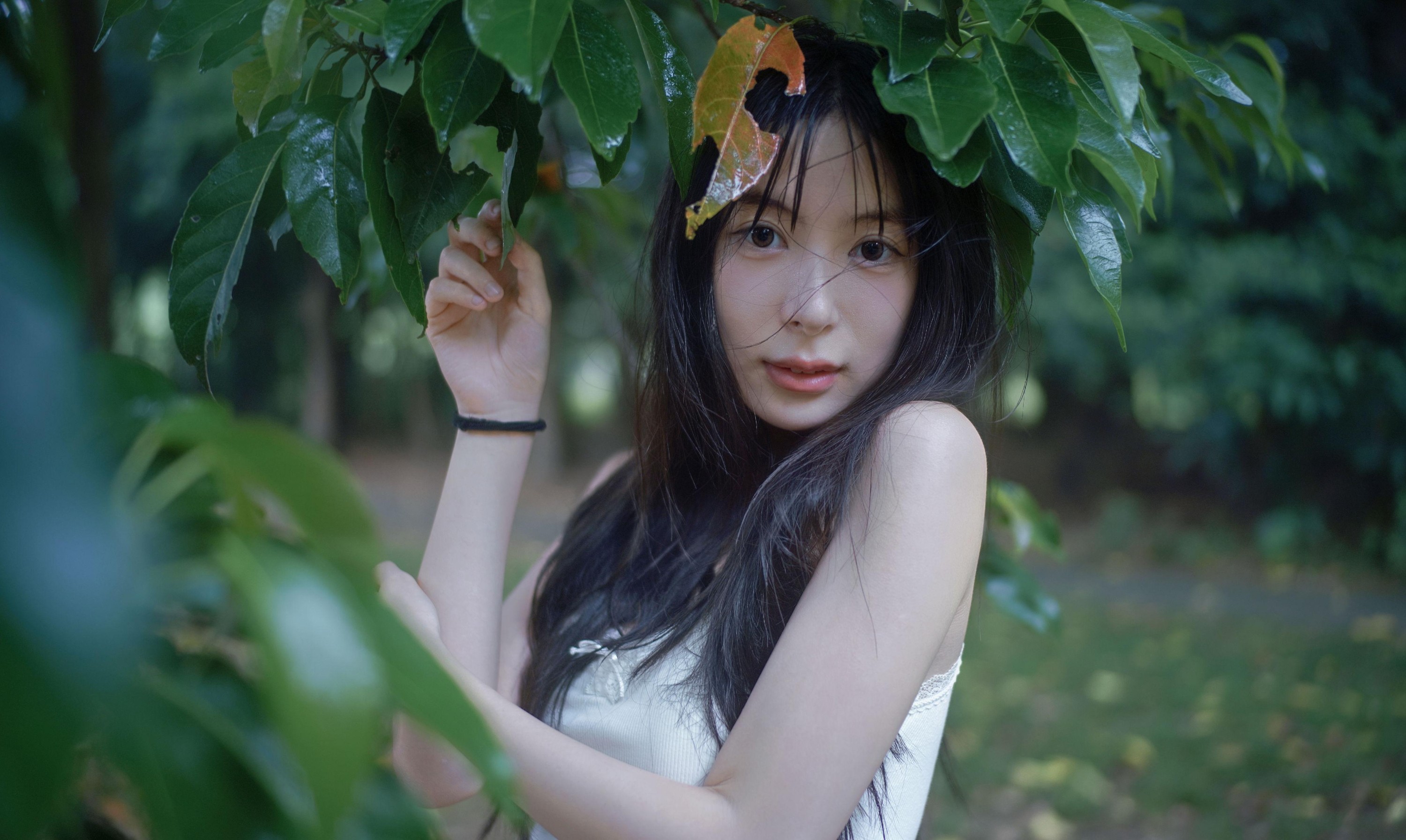 0831 – 《雨林微雨・少女的湿漉漉童话》[36P]