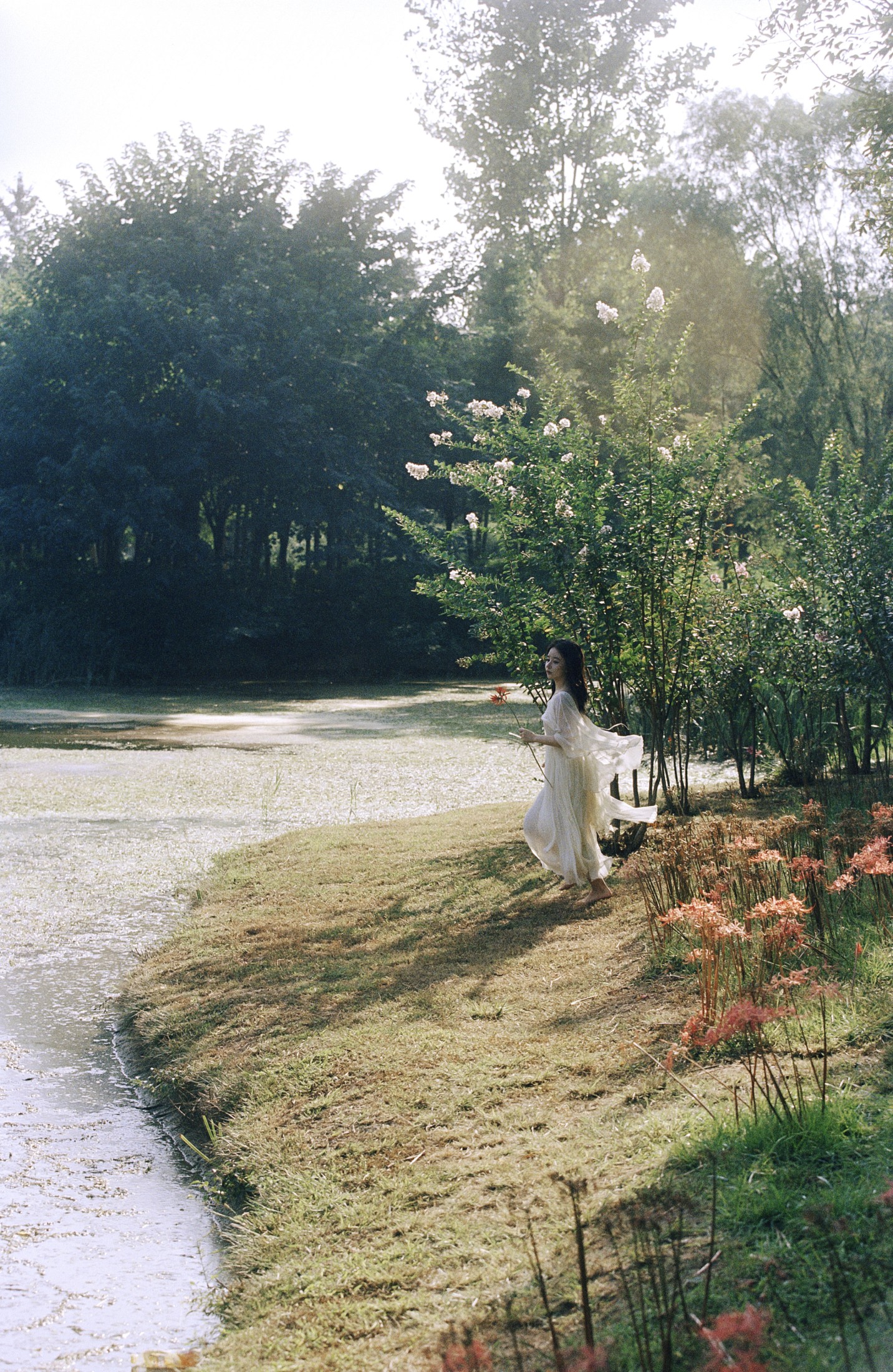 唐羽萱 – 《彼岸之花》[48P]