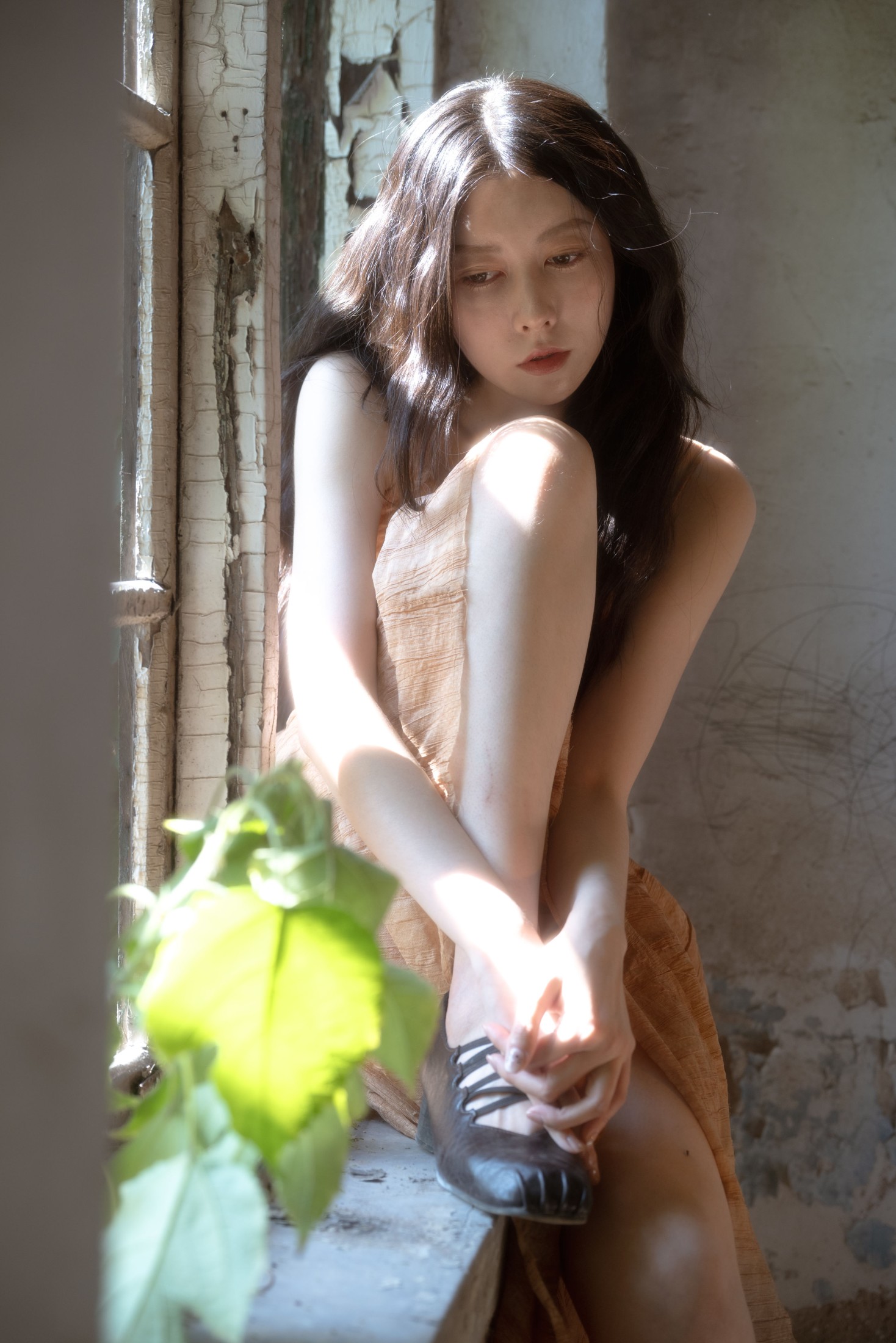 毛驴儿小马甲 – 《无尽夏—绮梦》[44P]