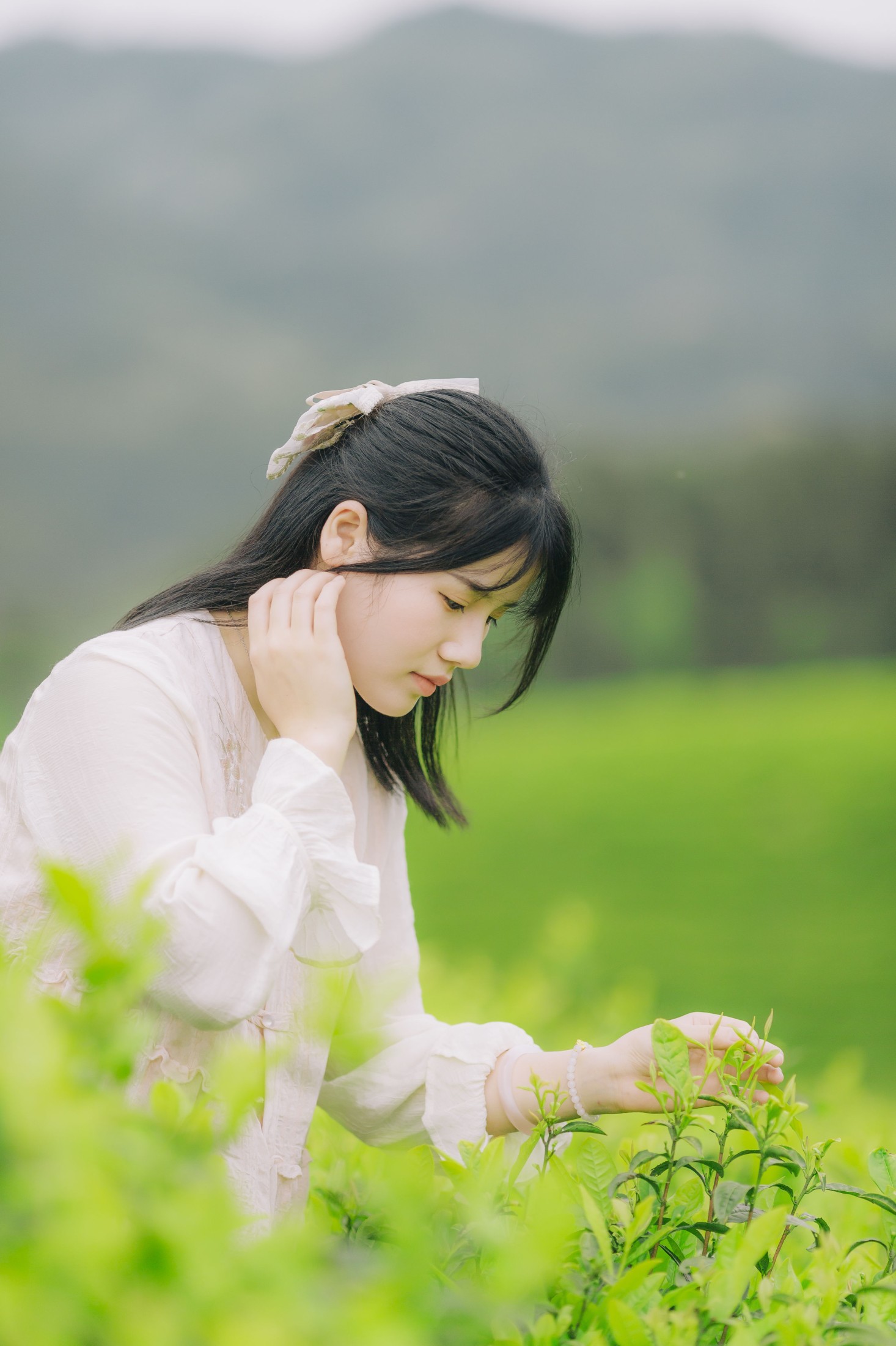 般若 – 《茶山行》[17P]