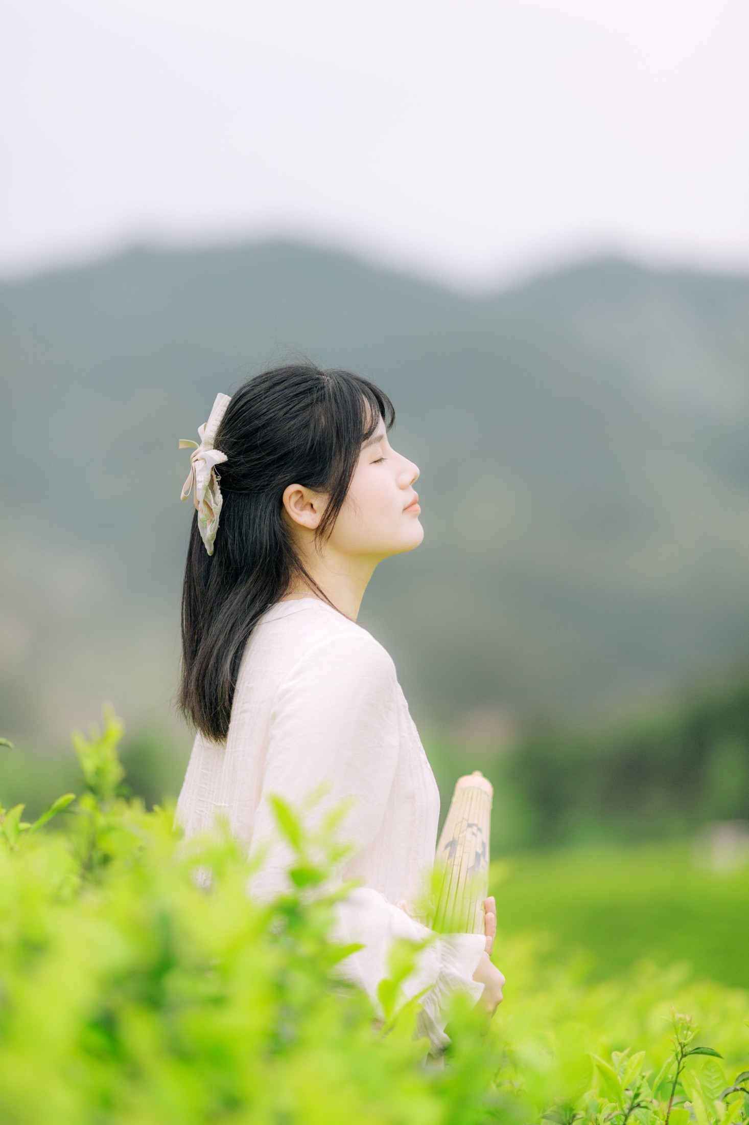 般若 – 《茶山行》[17P]