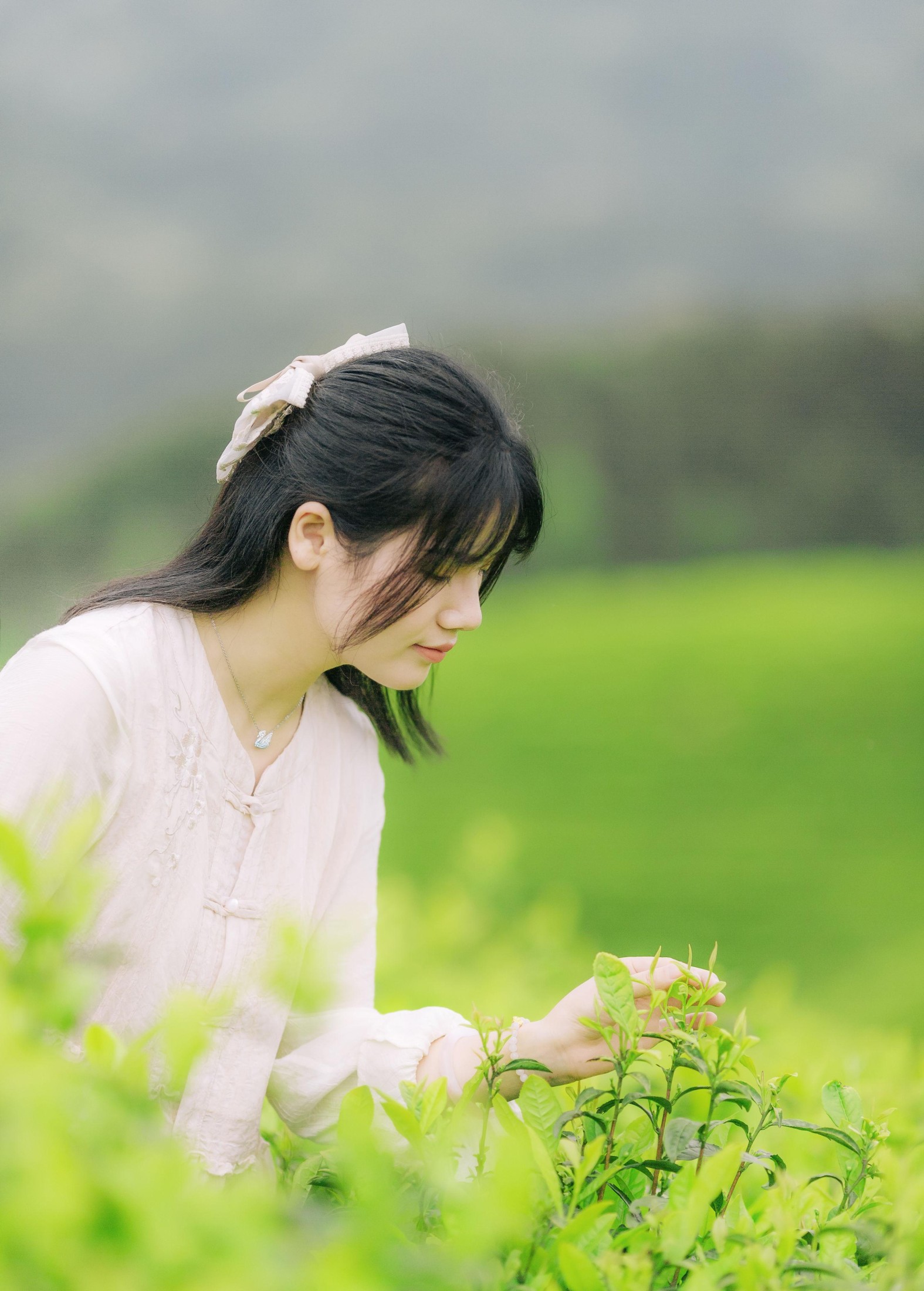 般若 – 《茶山行》[17P]