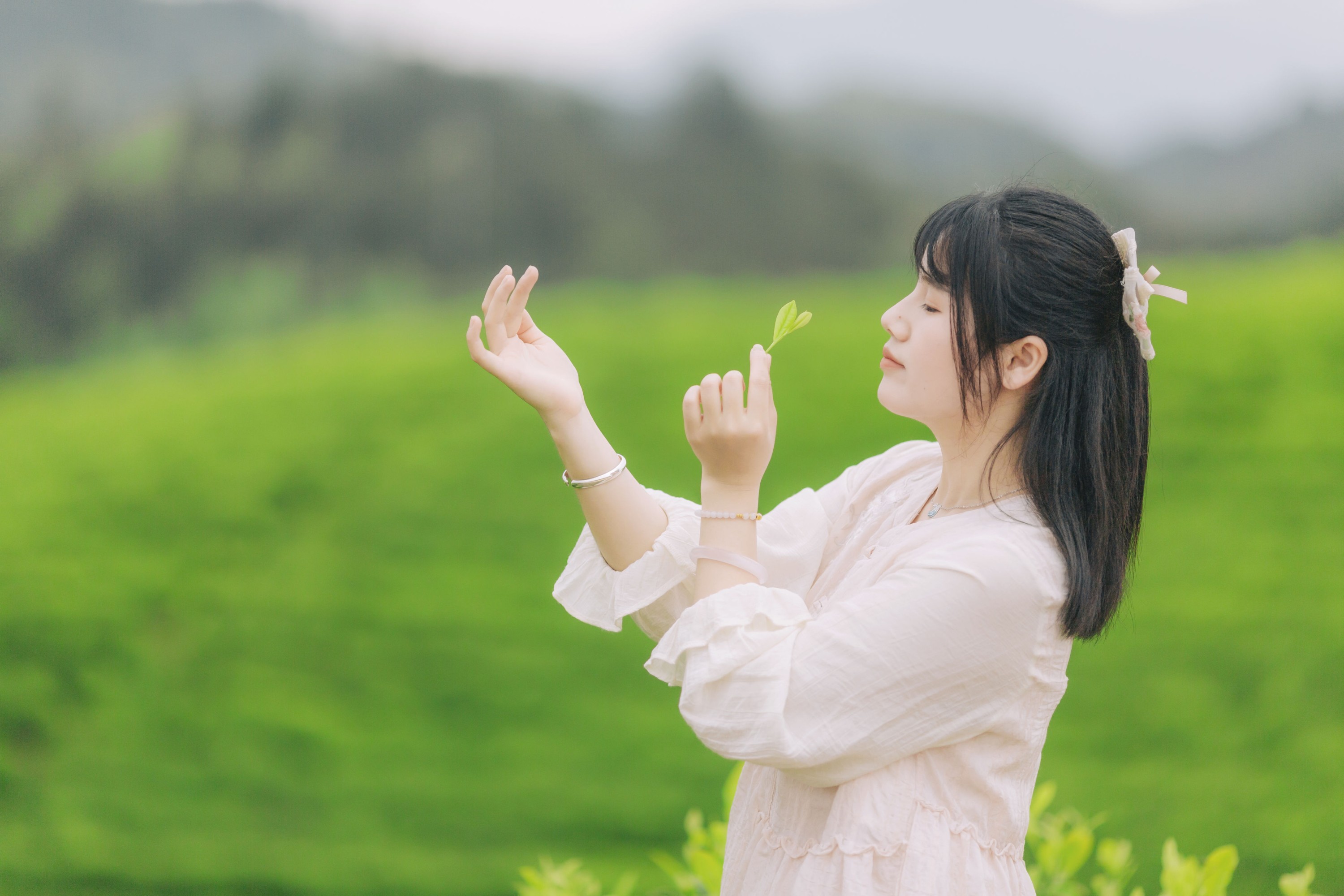 般若 – 《茶山行》[17P]