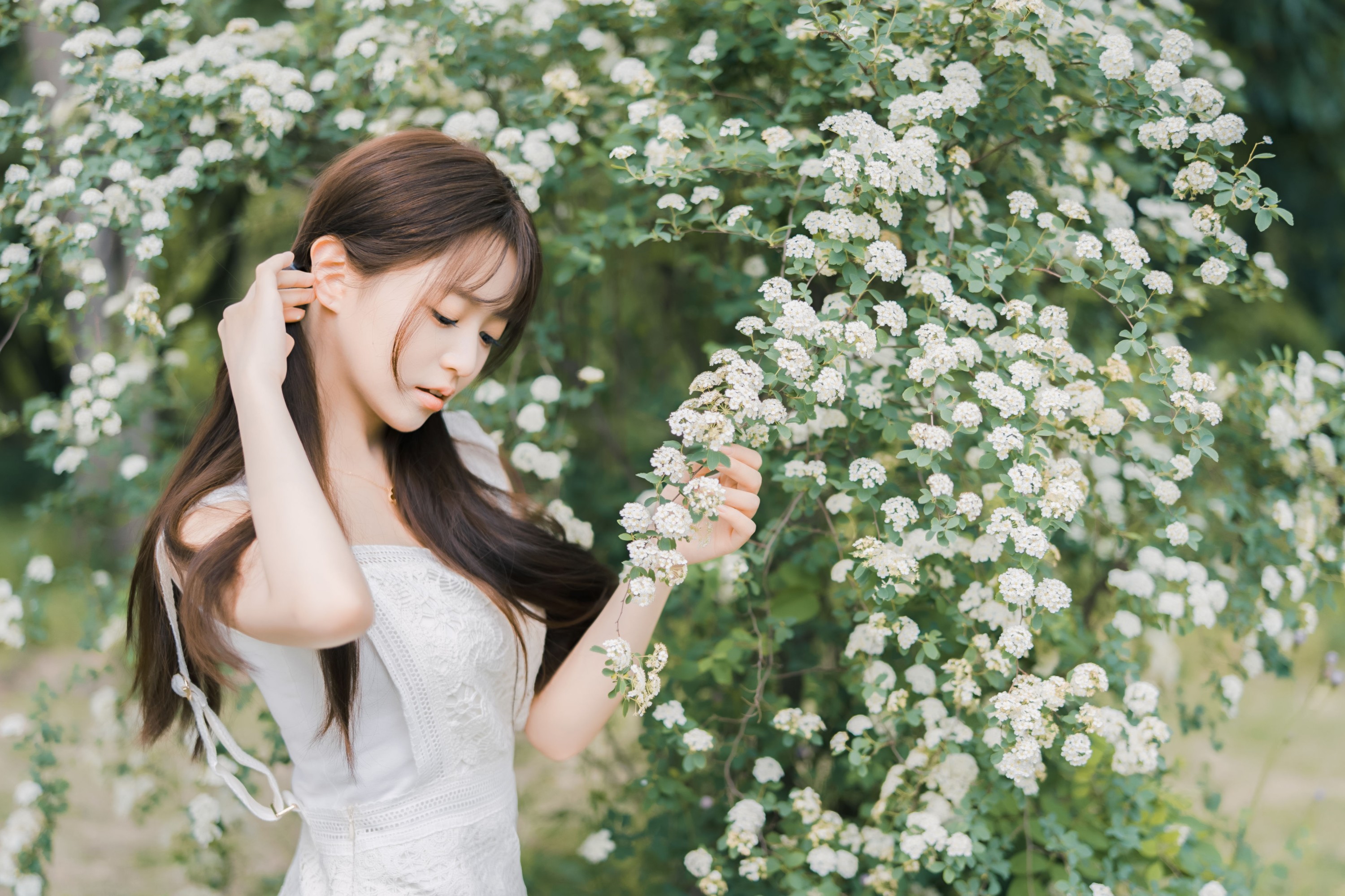 小亿 – 《蔷薇小可爱》[32P]