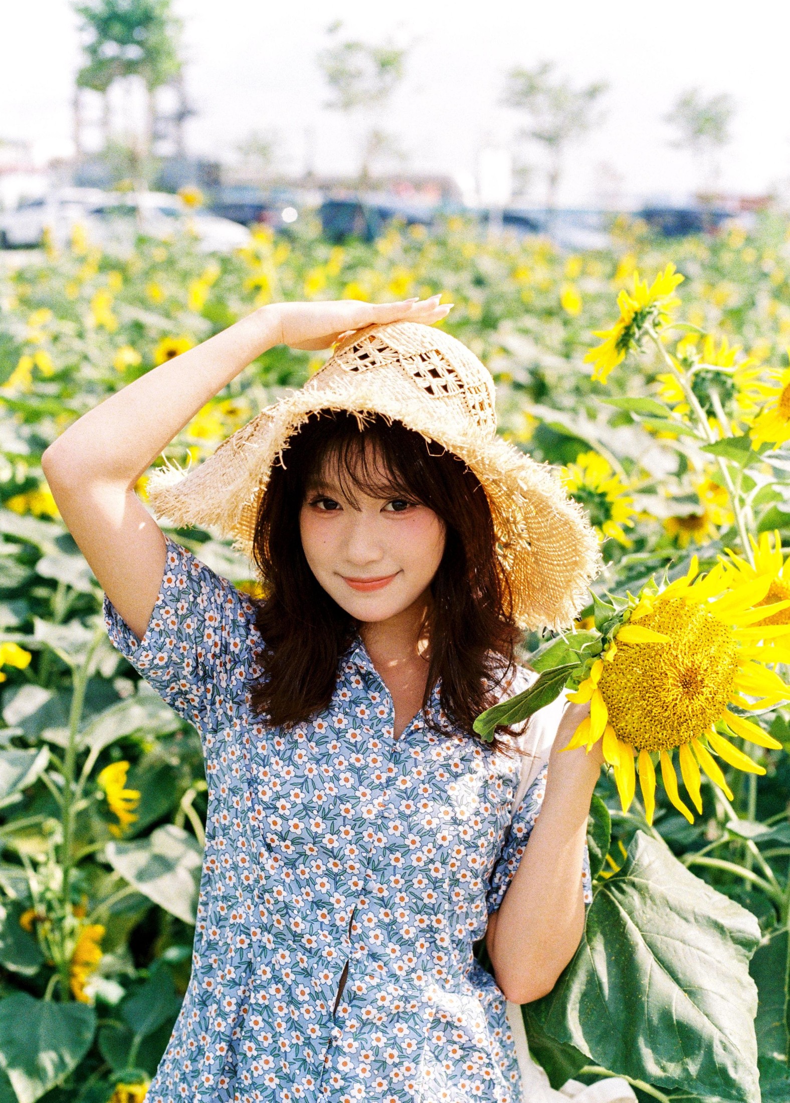 沐沐（约拍 – 《向日葵的花语》[18P] 插图2