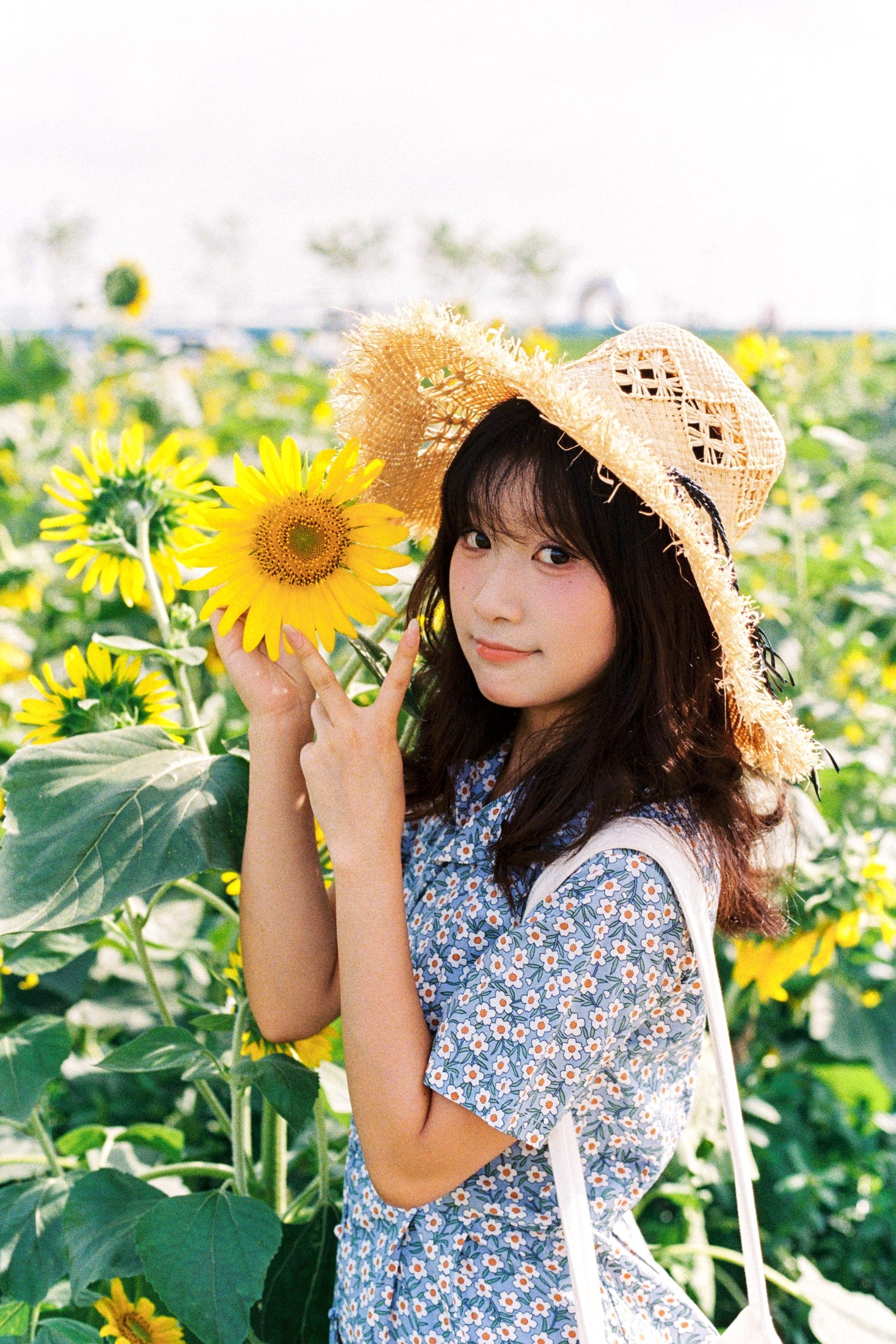 沐沐（约拍 – 《向日葵的花语》[18P]