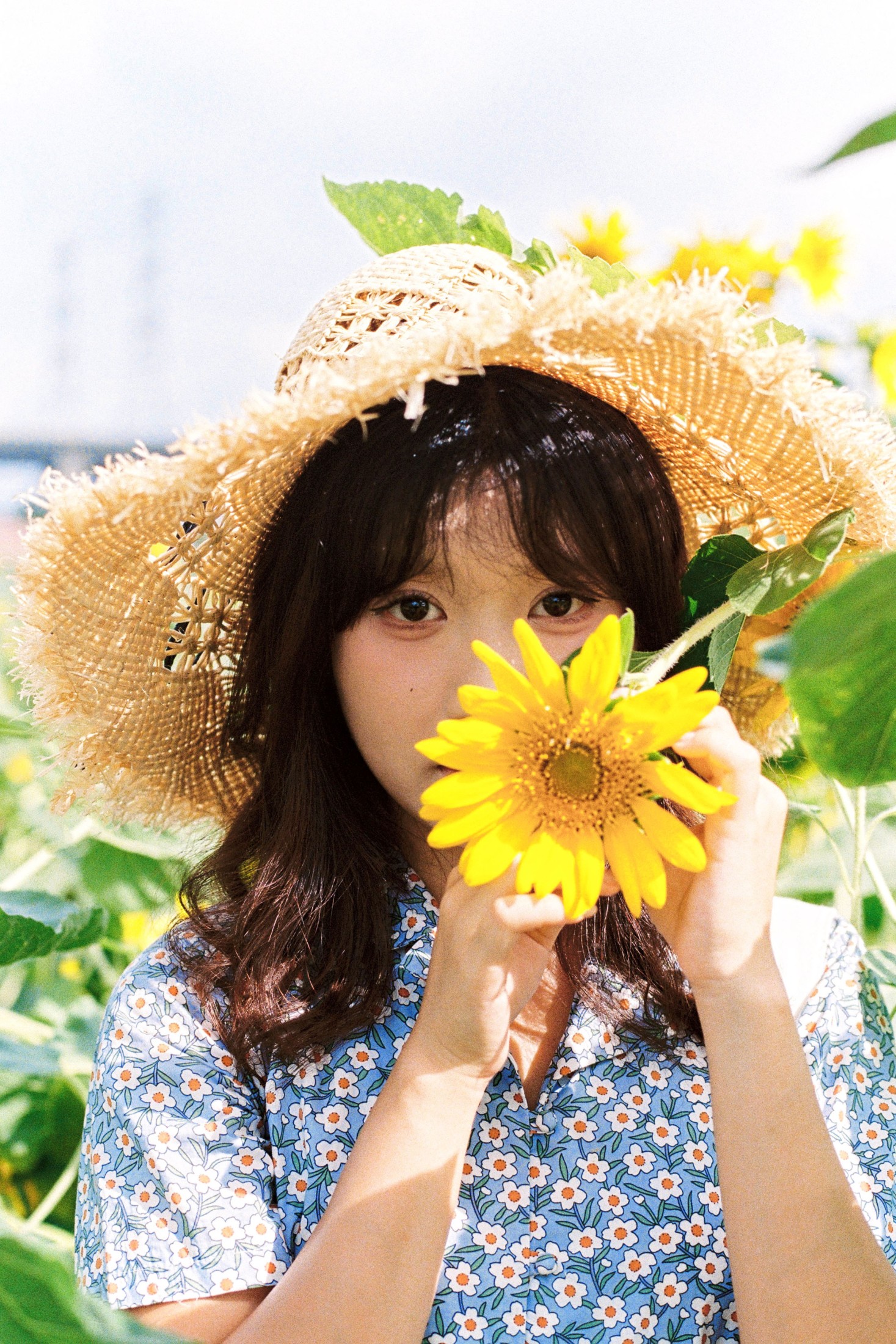 沐沐（约拍 – 《向日葵的花语》[18P] 插图3