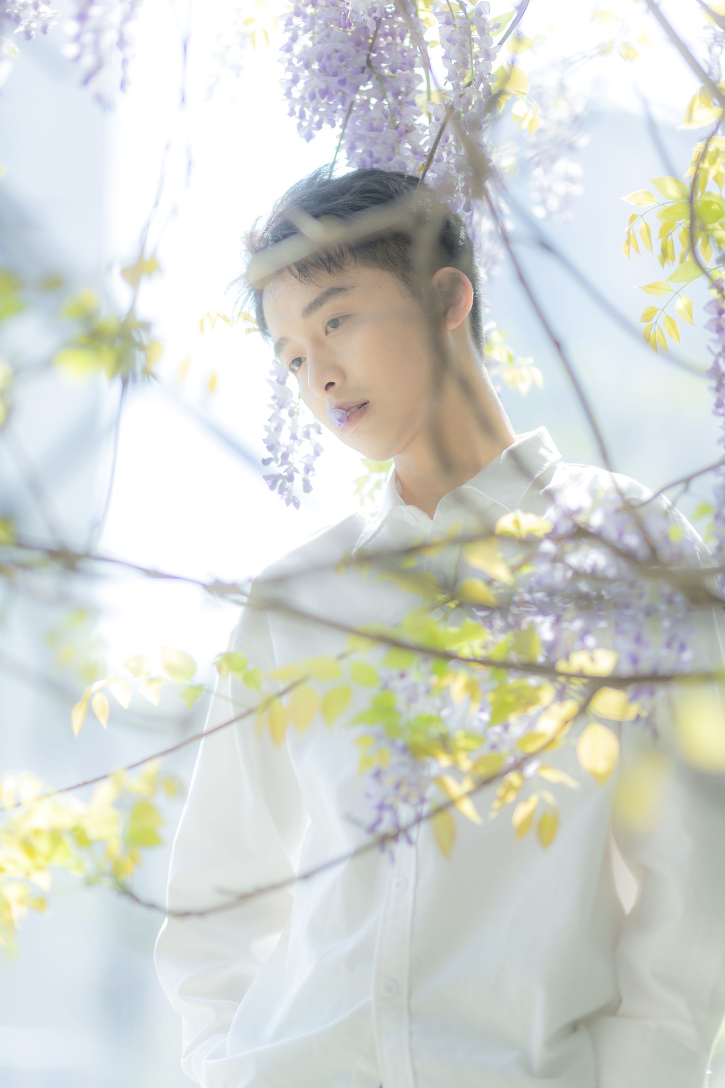 峥 – 《花儿与少年》[17P]