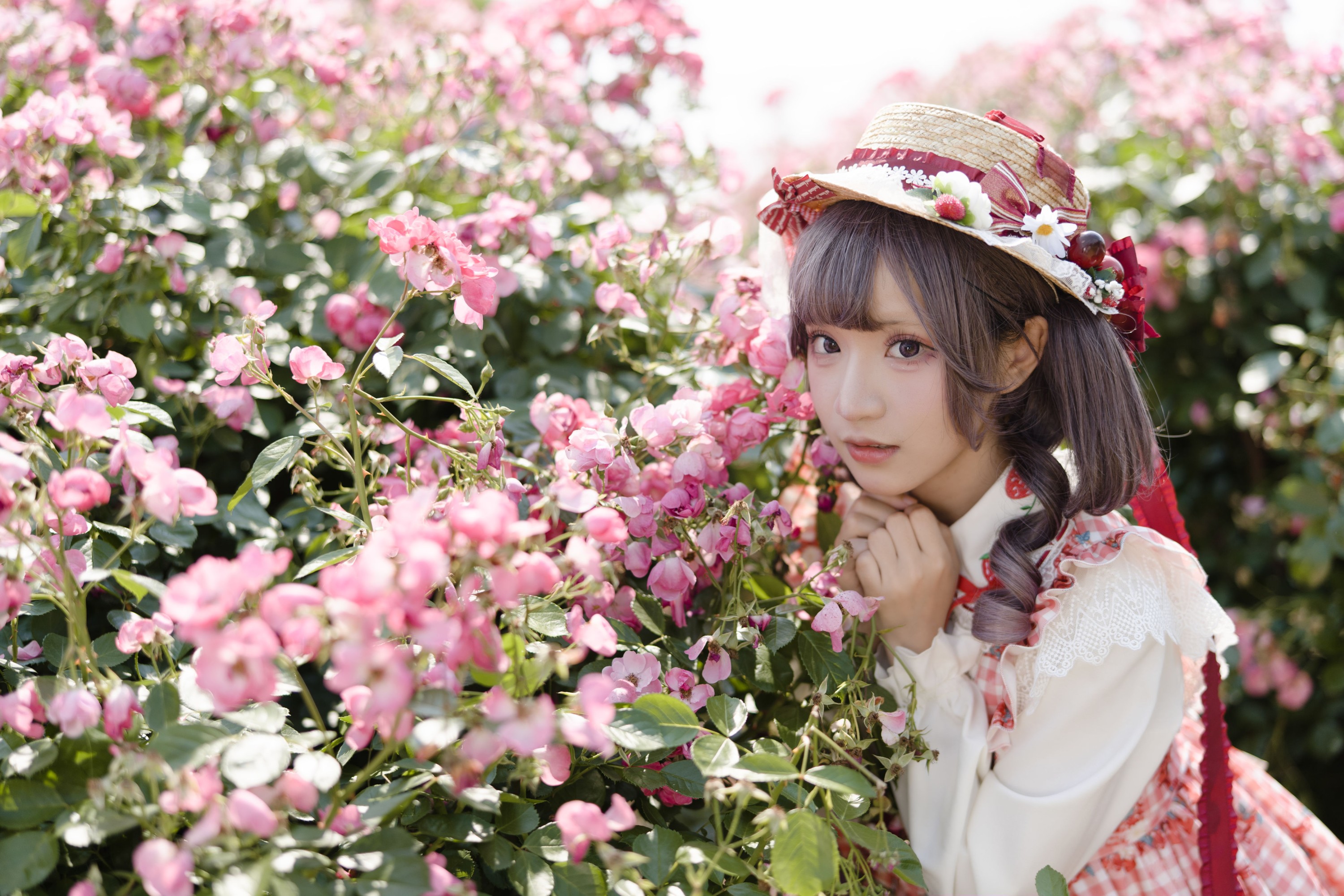 花柒Hana – 《蔷薇洛丽塔》[36P]