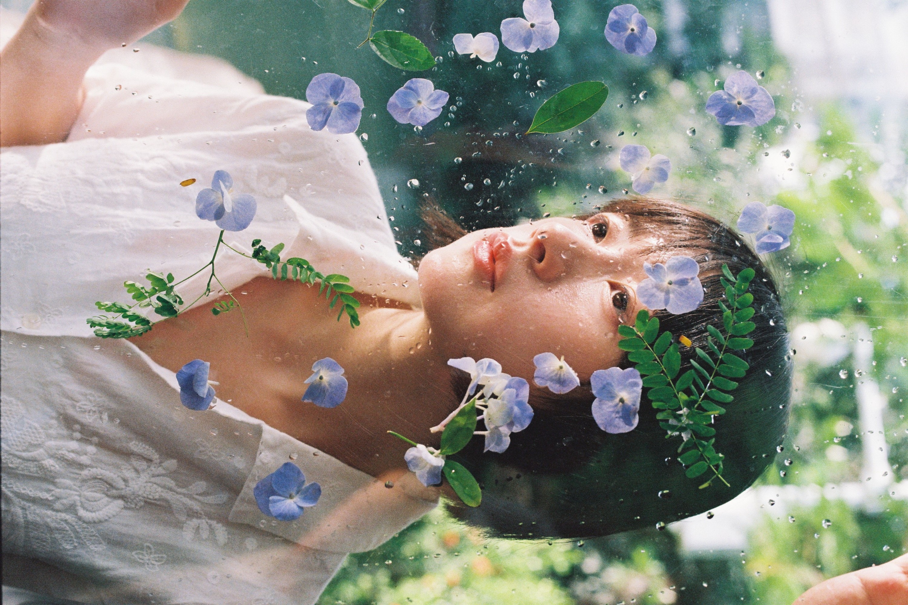 Crystal啦 – 《光的绿意》[13P]