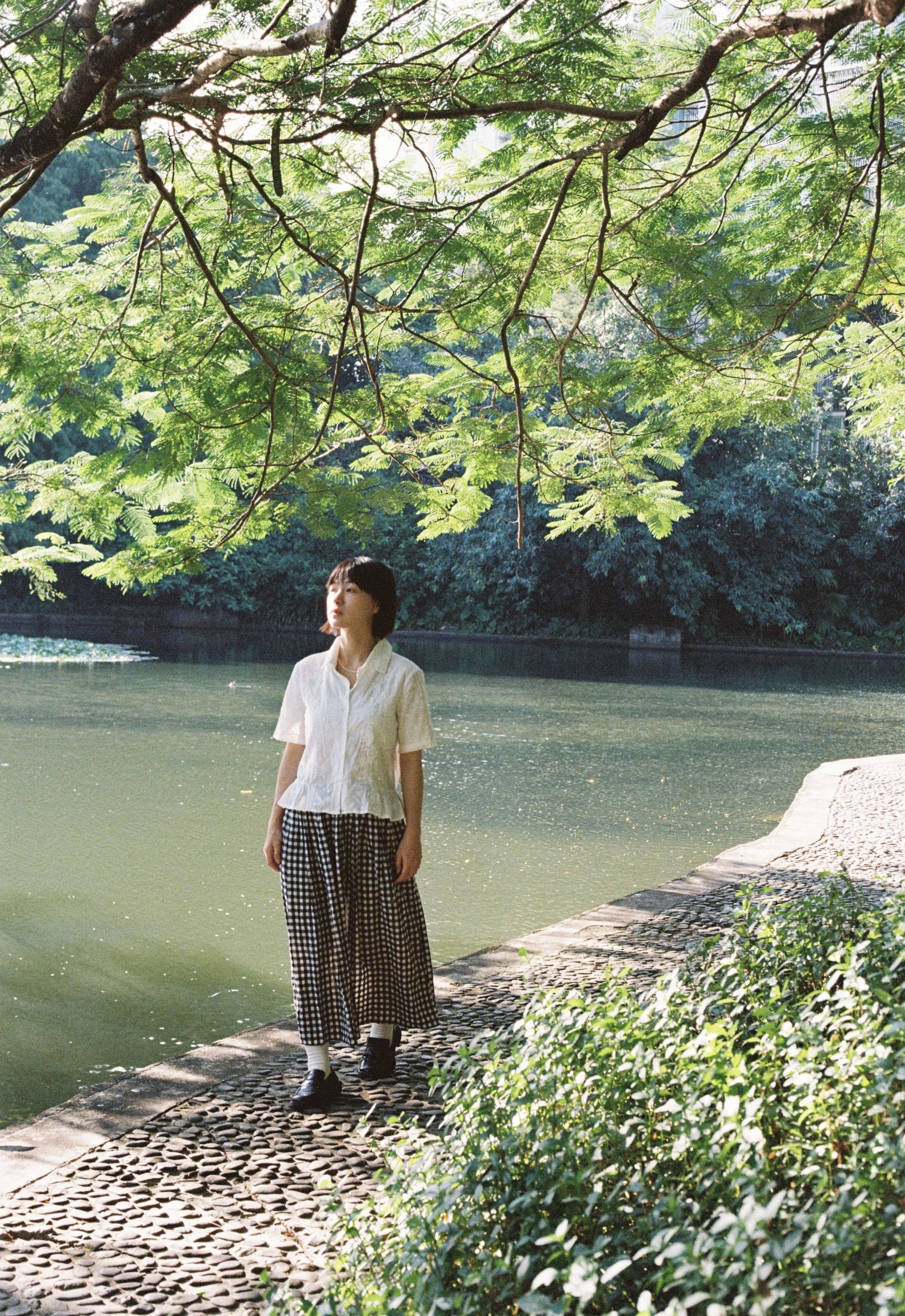 Crystal啦 – 《光的绿意》[13P]