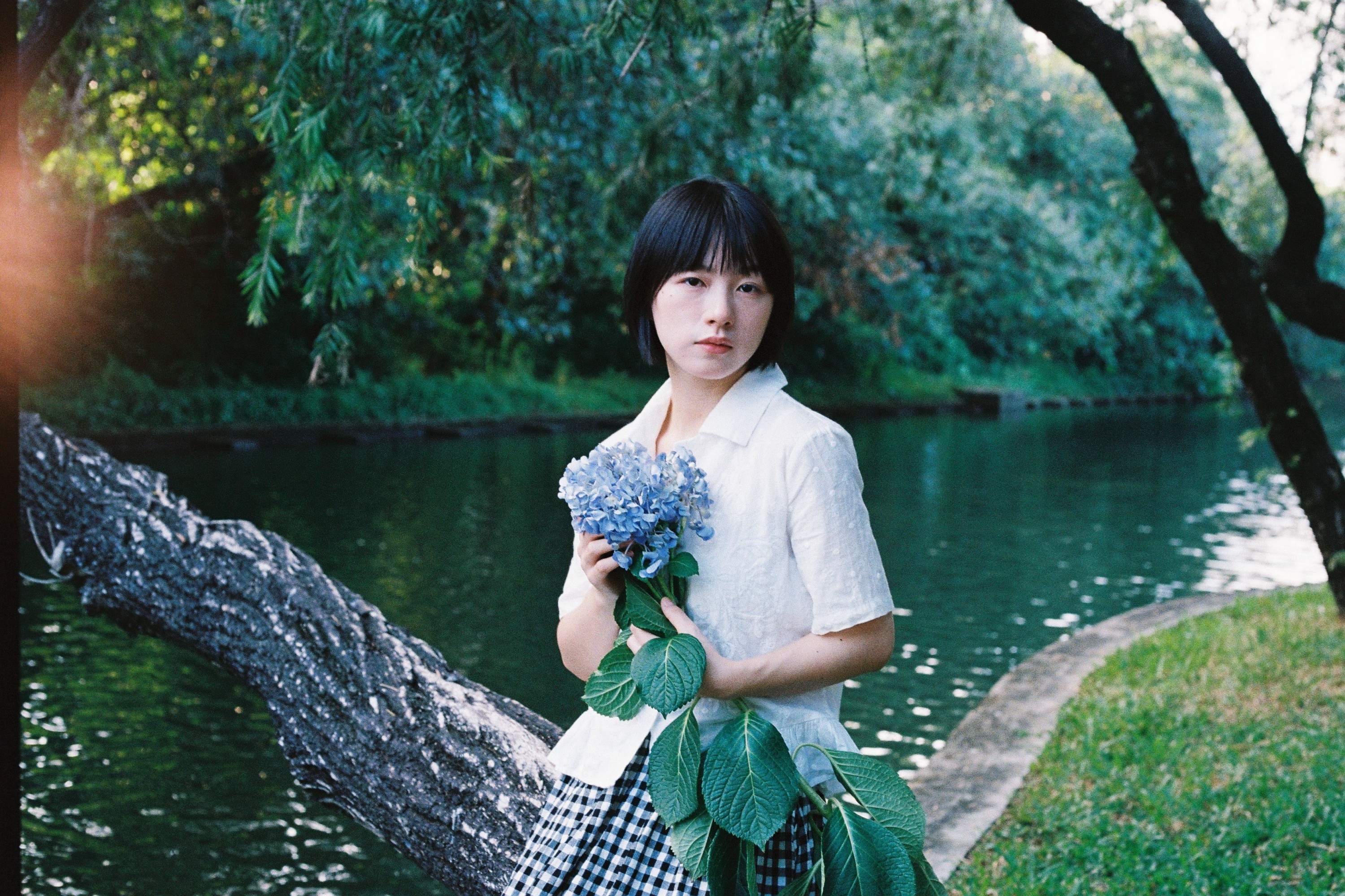 Crystal啦 – 《光的绿意》[13P]