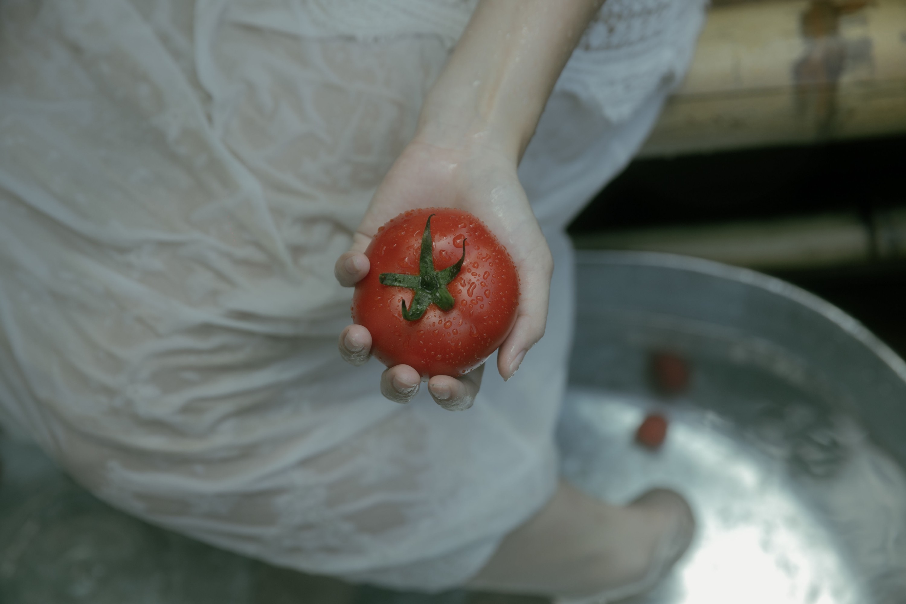 Cookie_ – 《人到底能感受多少回夏天》[30P]