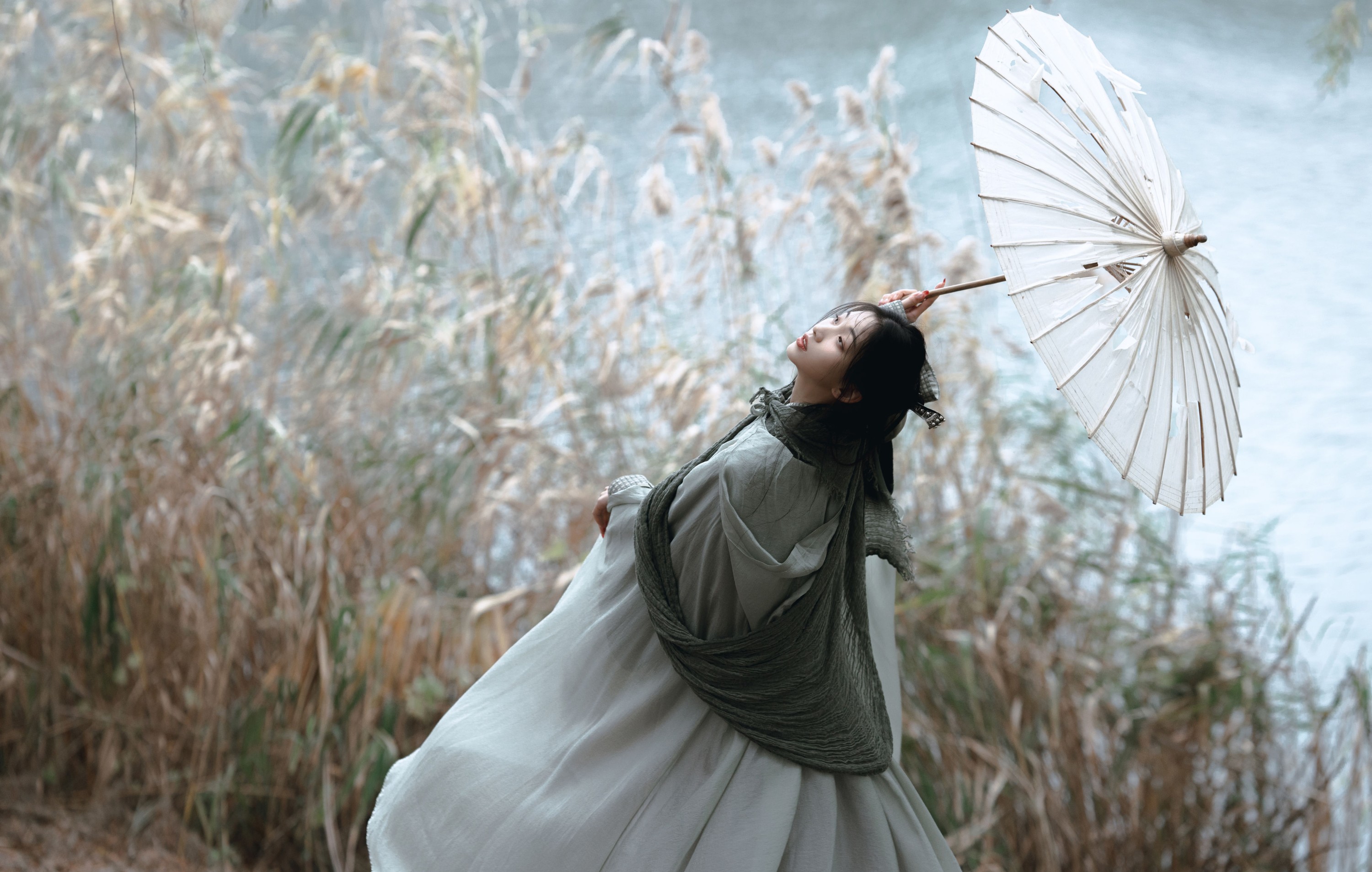 二一芝 – 《风又起，叶落地》[19P]