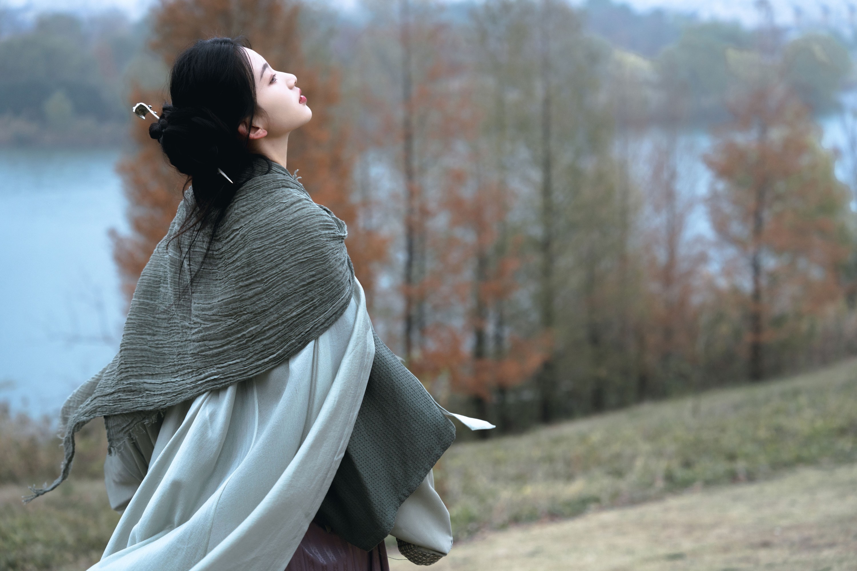 二一芝 – 《风又起，叶落地》[19P]