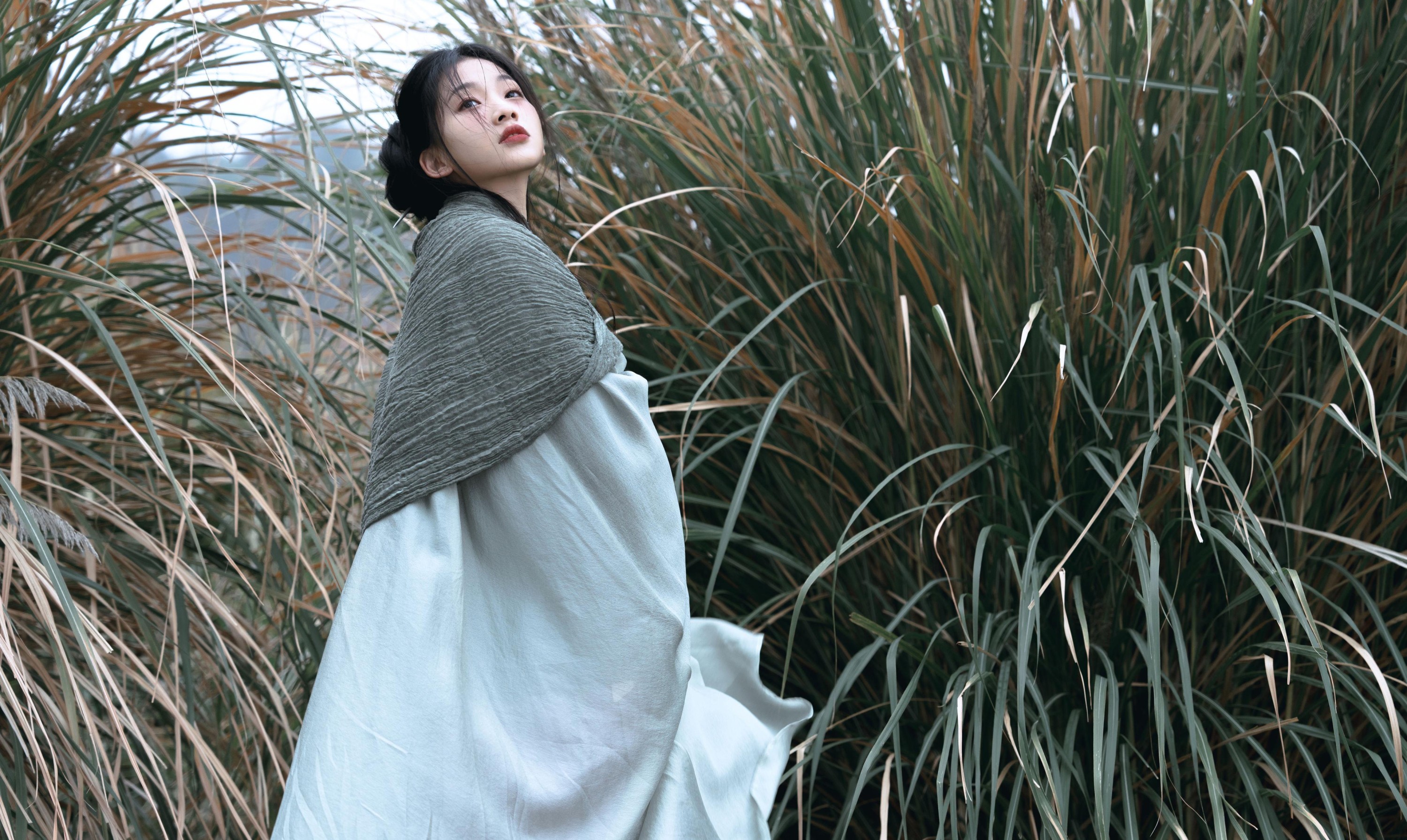 二一芝 – 《风又起，叶落地》[19P]