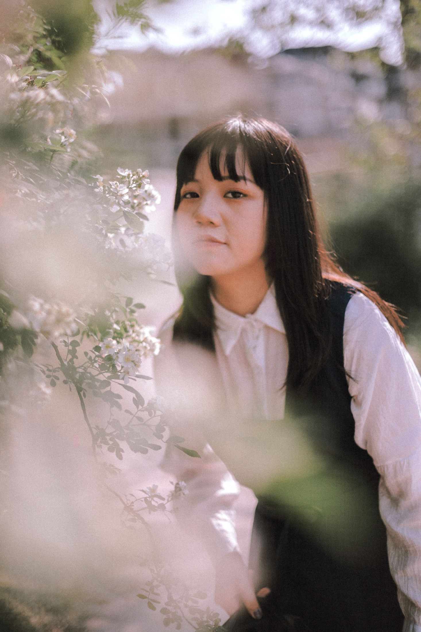 晗 – 《蔷薇花开》[17P]