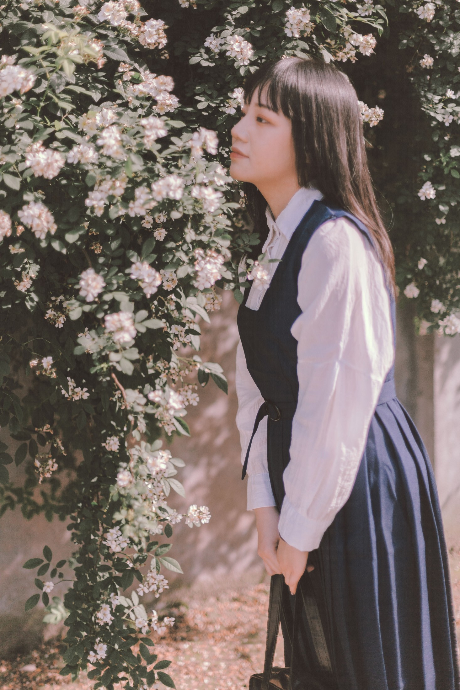 晗 – 《蔷薇花开》[17P]