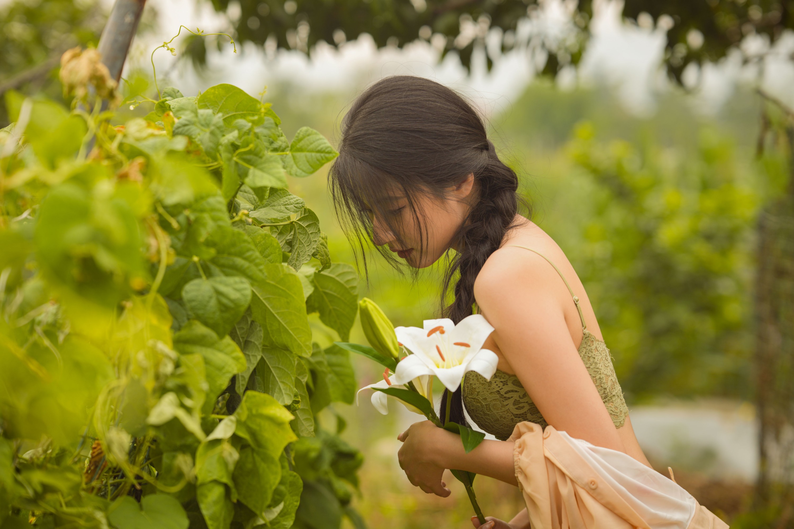 枫糖泡芙 – 《一本浪漫的散文集》[13P]