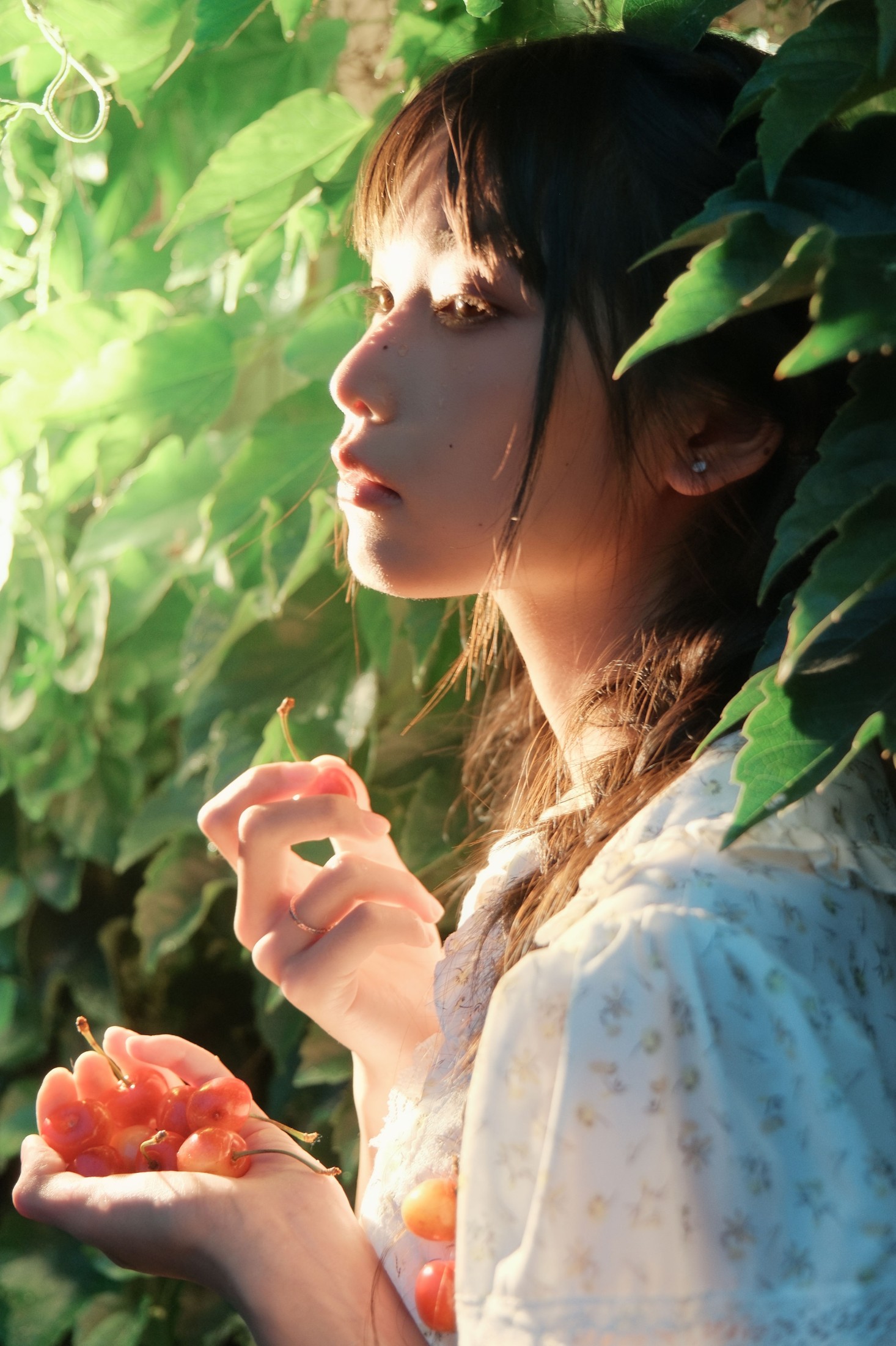 西一奥 – 《Poor Cherries》[28P]