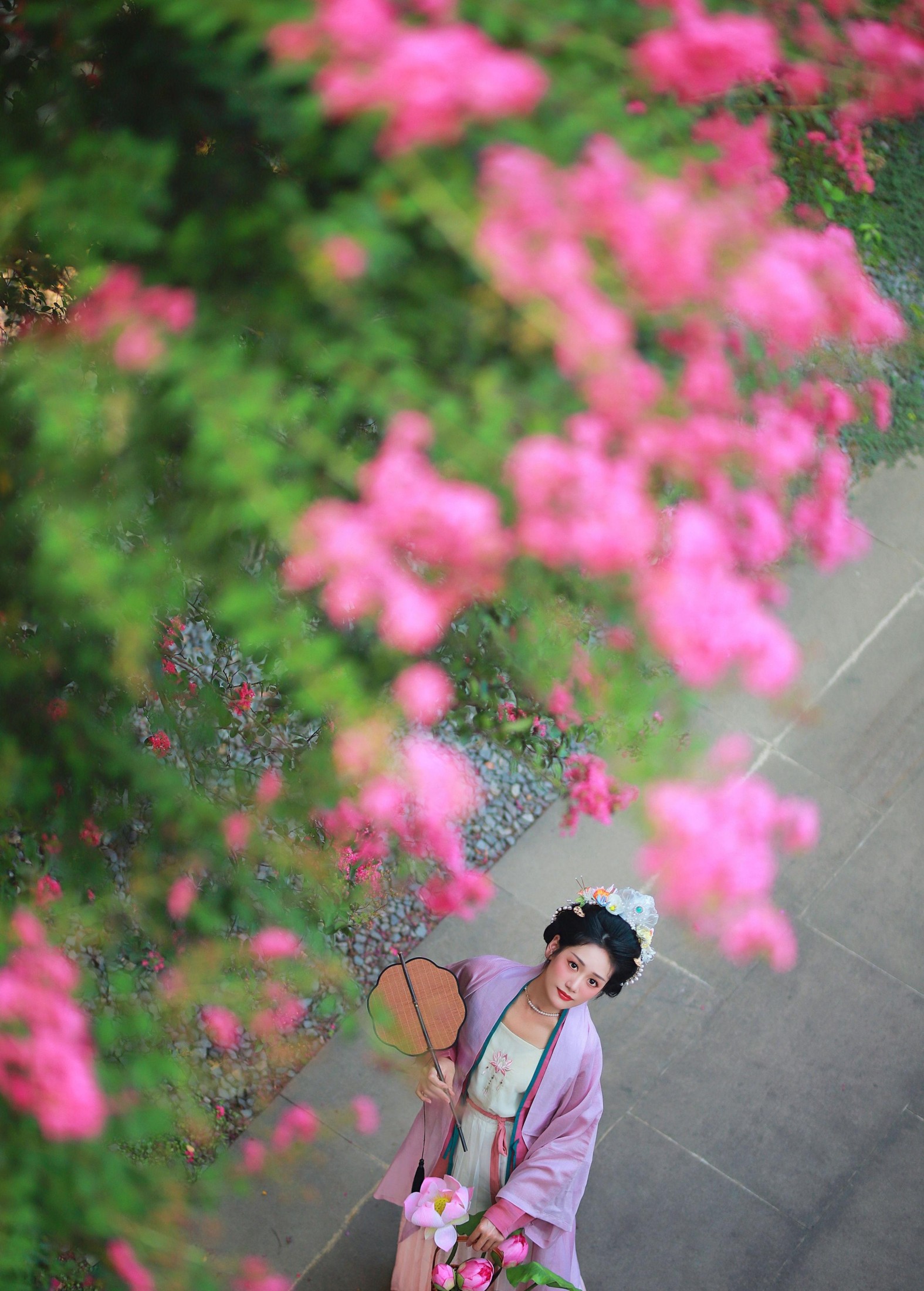 一只大大大李子 – 《紫薇花开》[27P]