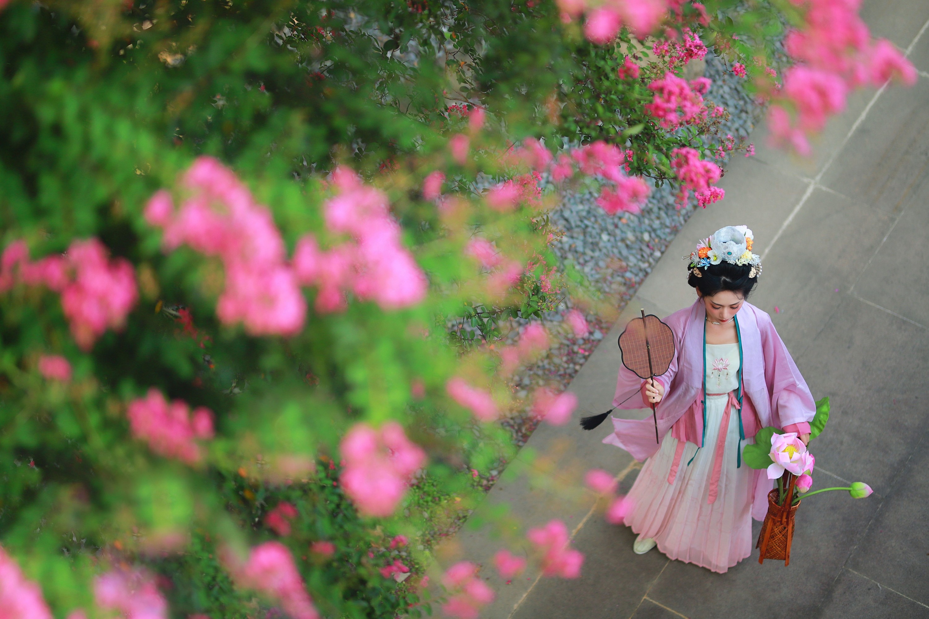 一只大大大李子 – 《紫薇花开》[27P]