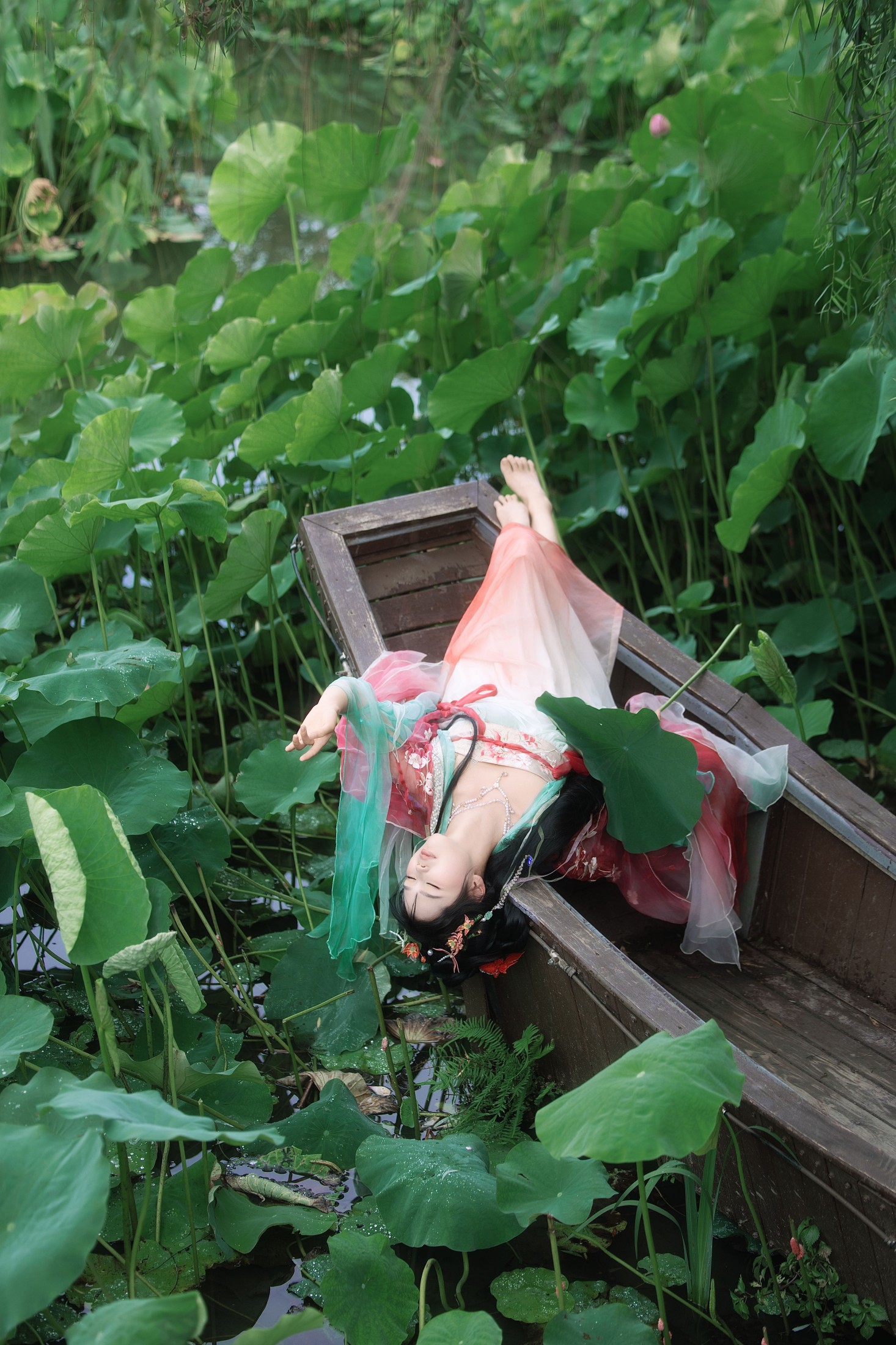 婳婳 – 《夏日荷花》[17P]