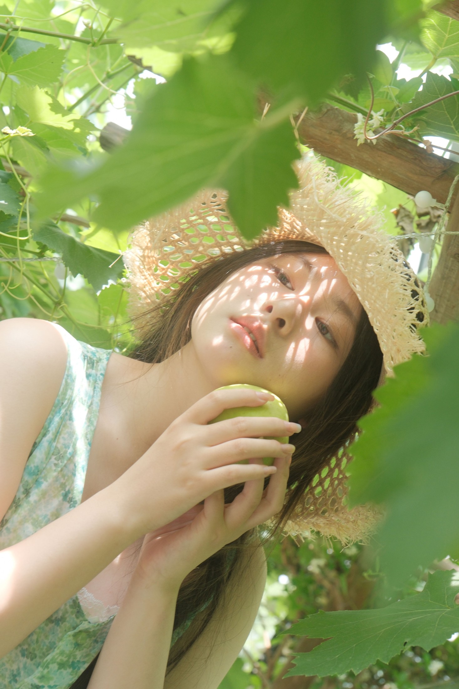 皖 – 《风车茉莉》[22P]