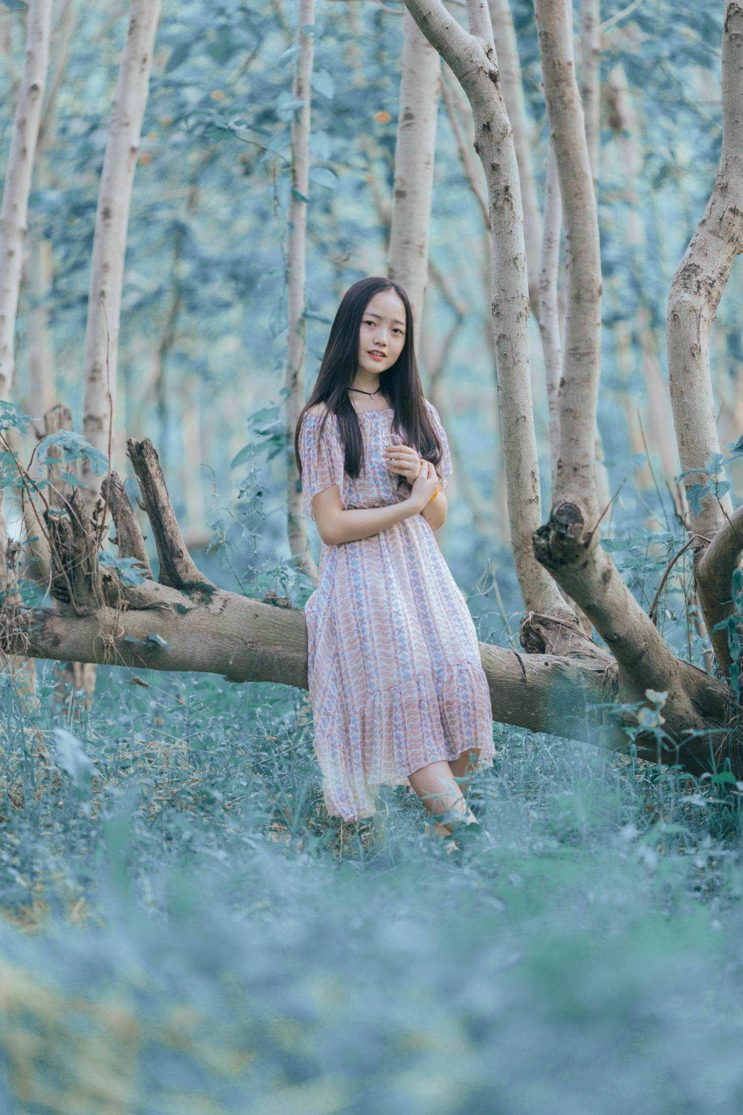 丽丽 – 《在水一方》[14P]