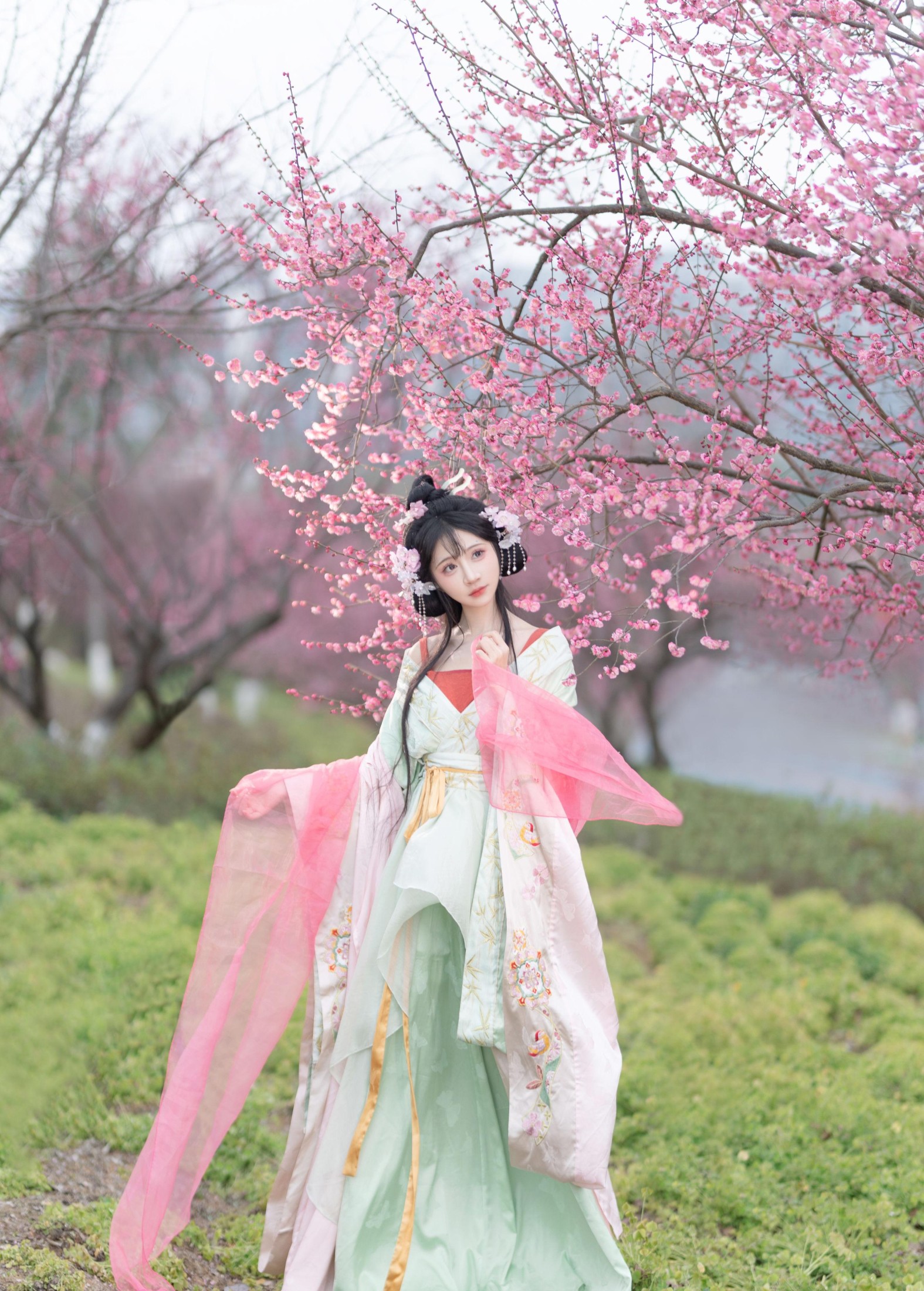 绮罗生的小苏苏 – 《梅间诗笺》[16P]