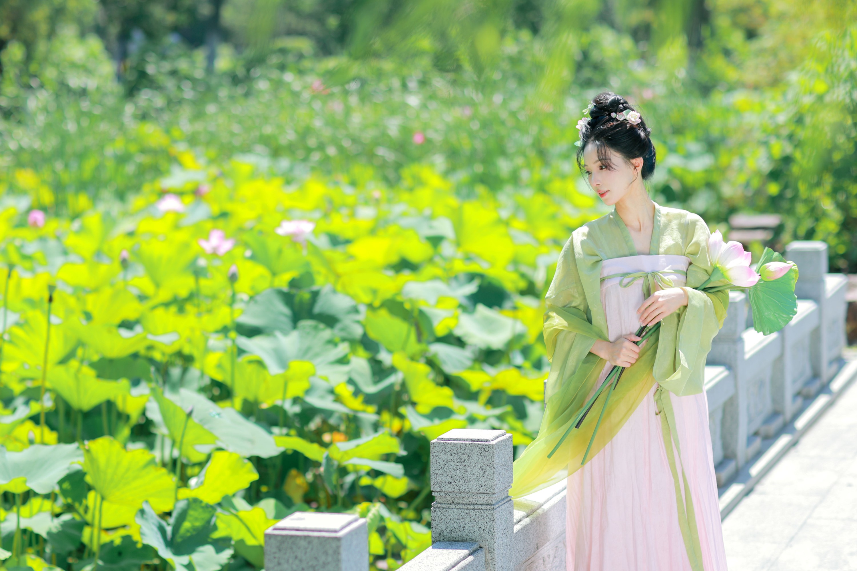 二氧化棠 – 《绿荫浓，夏日长》[13P]