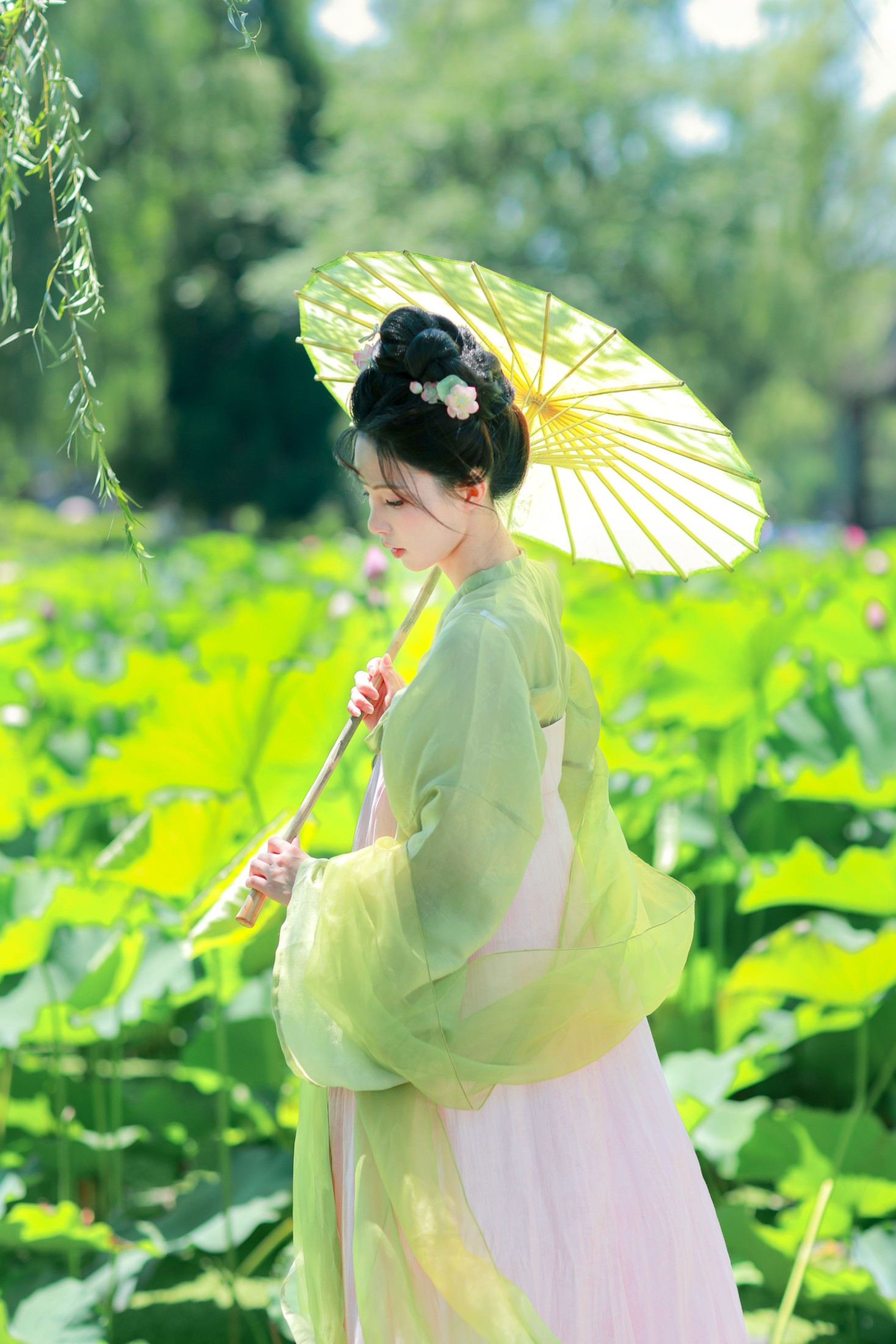 二氧化棠 – 《绿荫浓，夏日长》[13P]