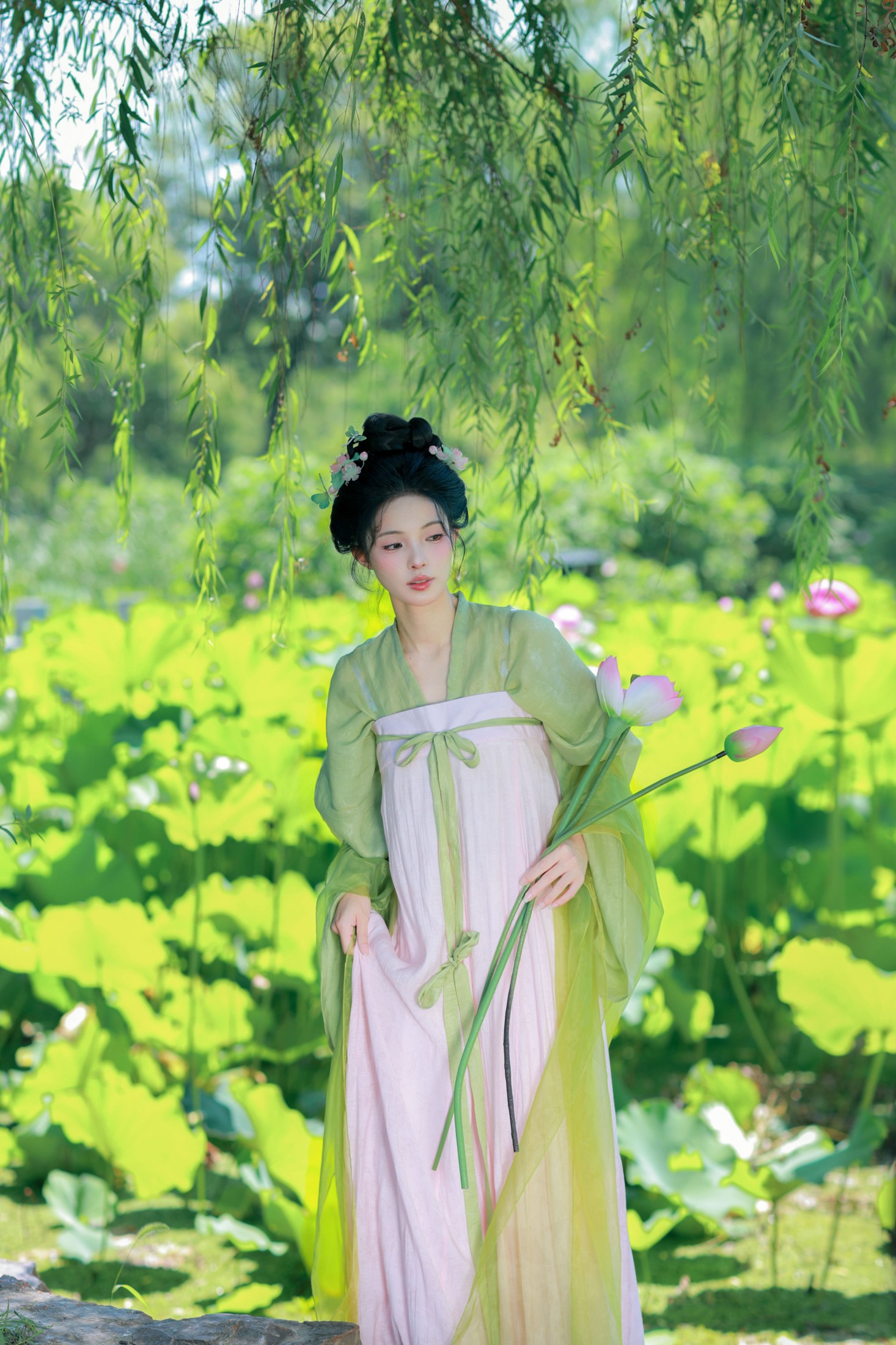 二氧化棠 – 《绿荫浓，夏日长》[13P]