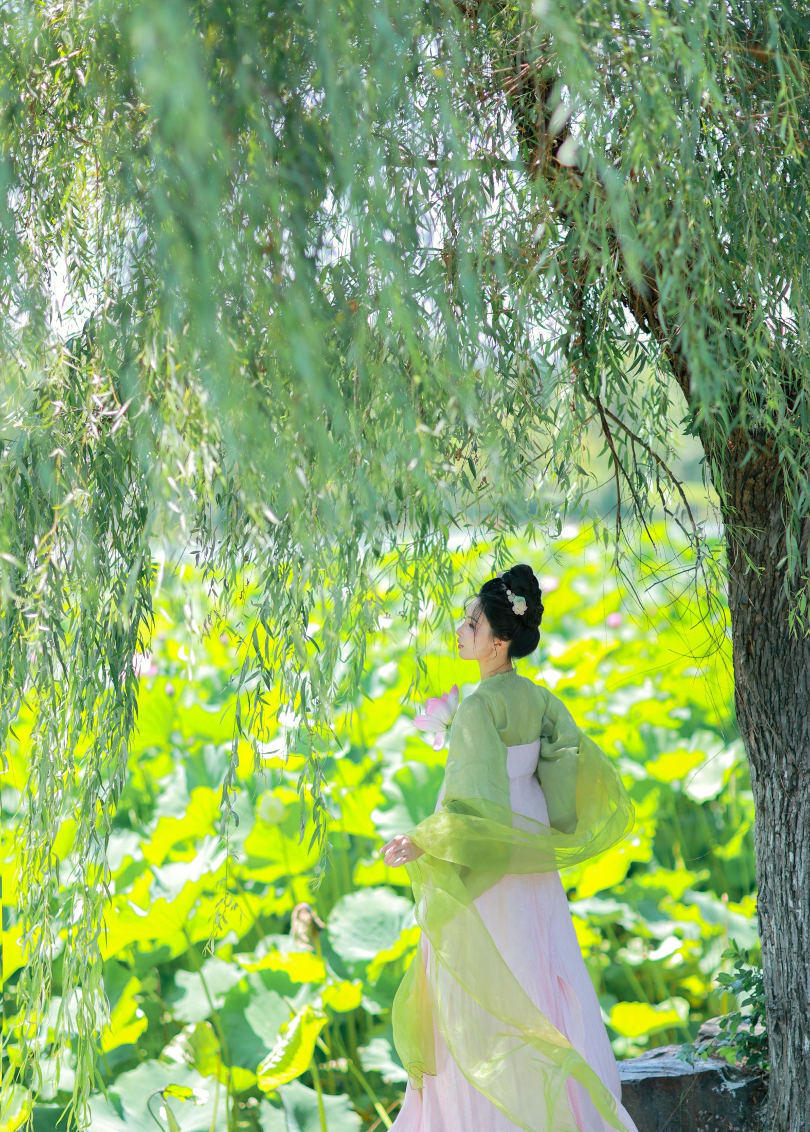 二氧化棠 – 《绿荫浓，夏日长》[13P]