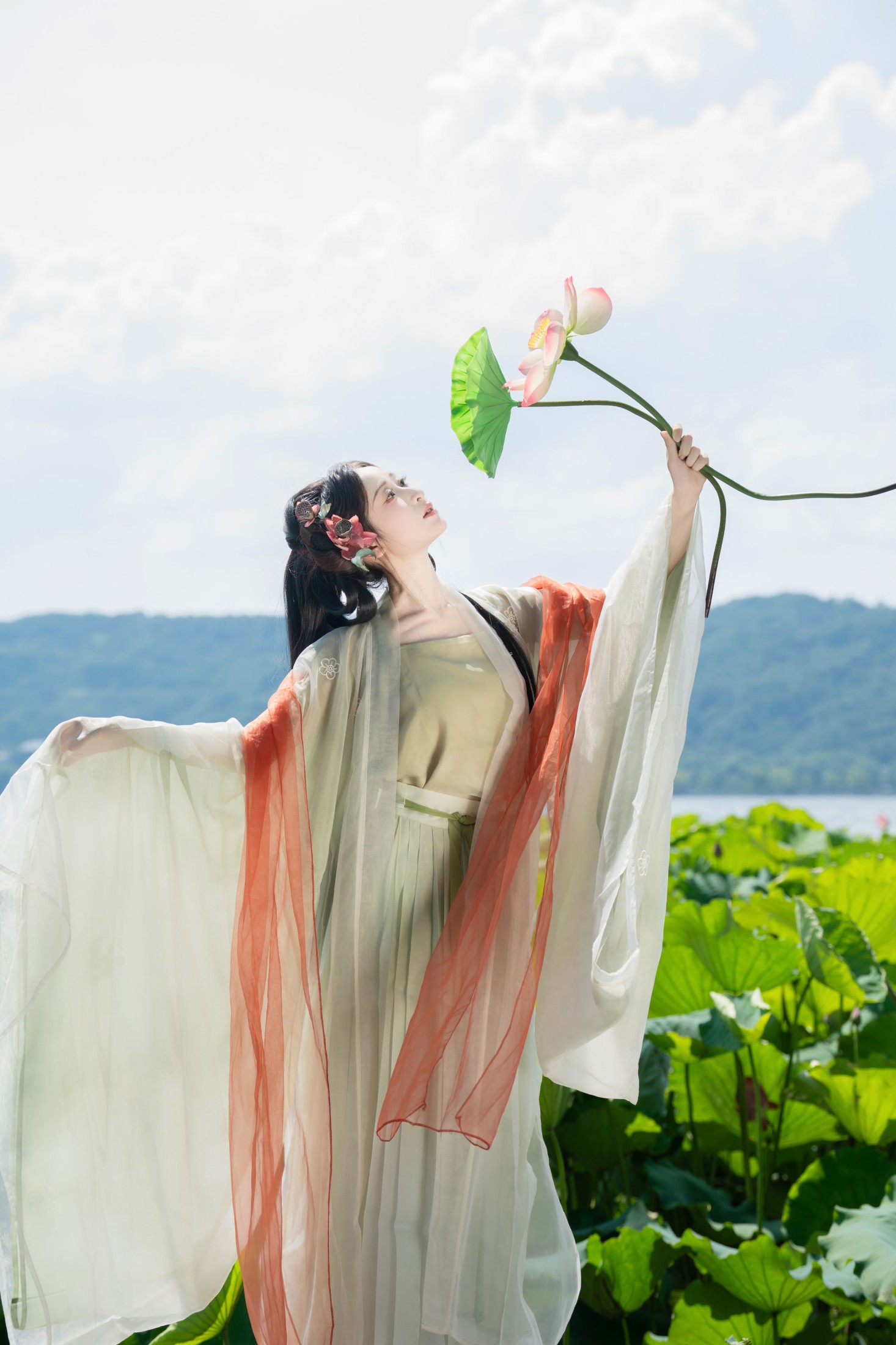 小何 – 《荷花如画》[20P]