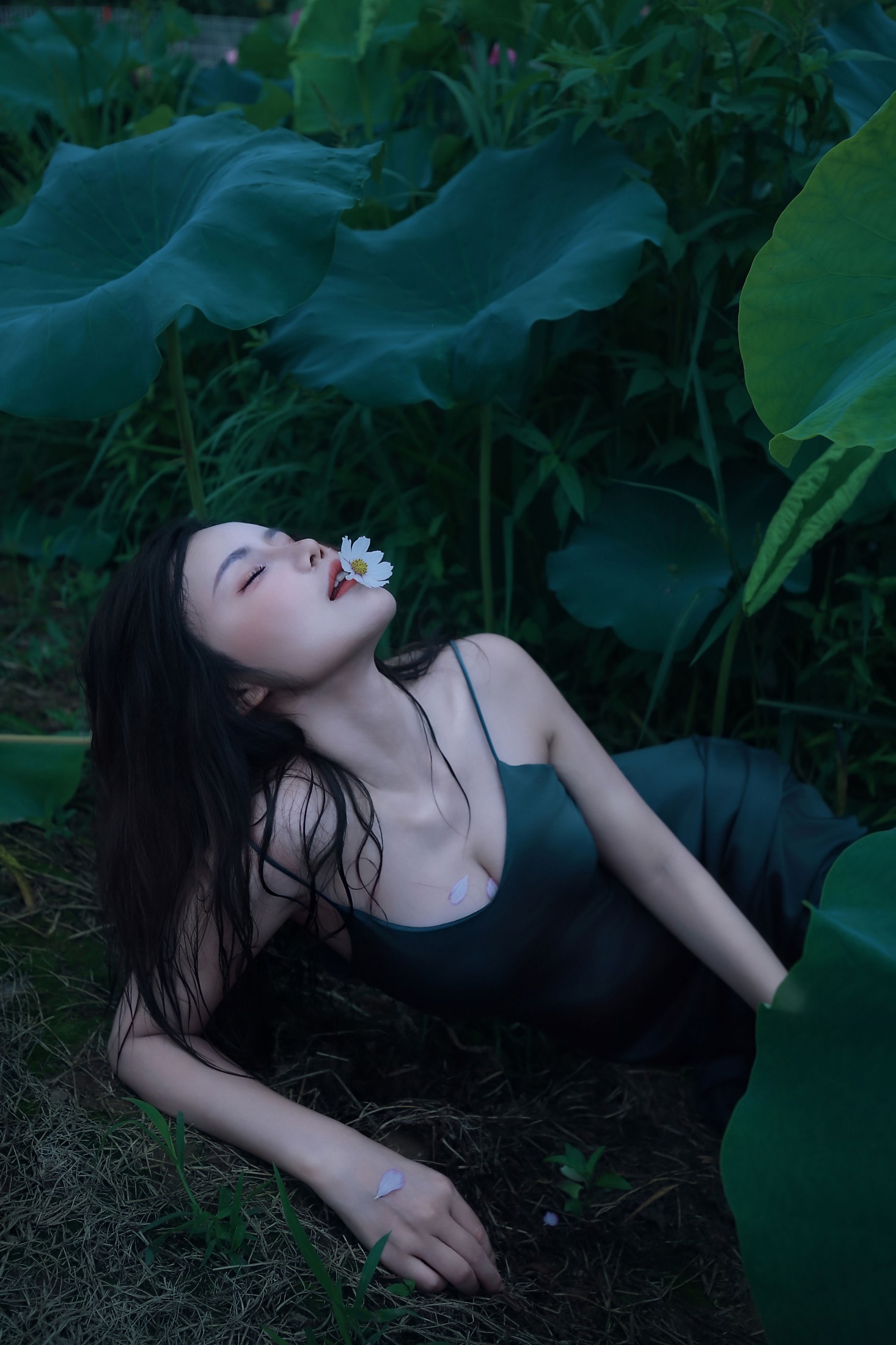 泽书 – 《碧罗栽夏》[18P]