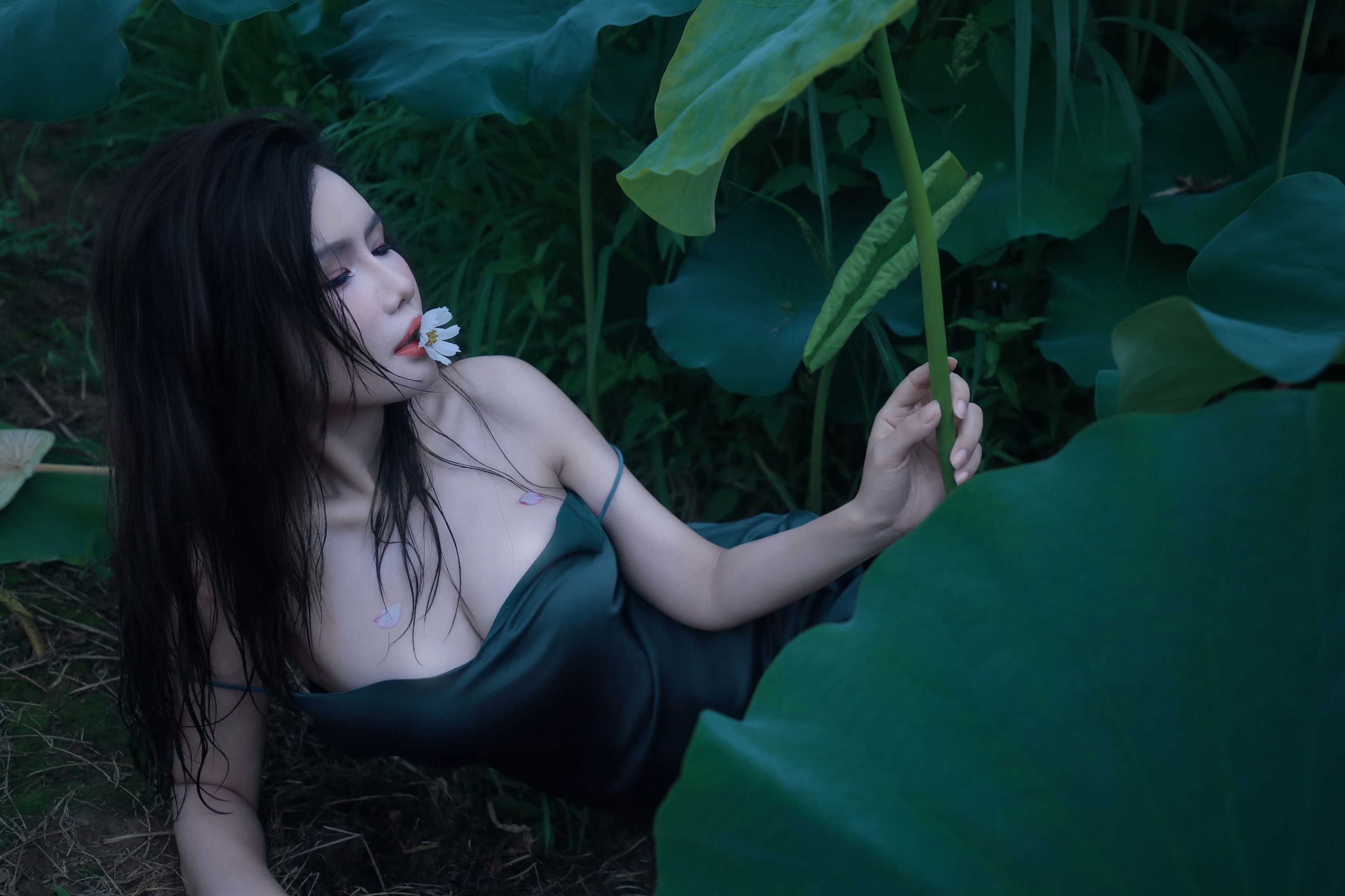 泽书 – 《碧罗栽夏》[18P]