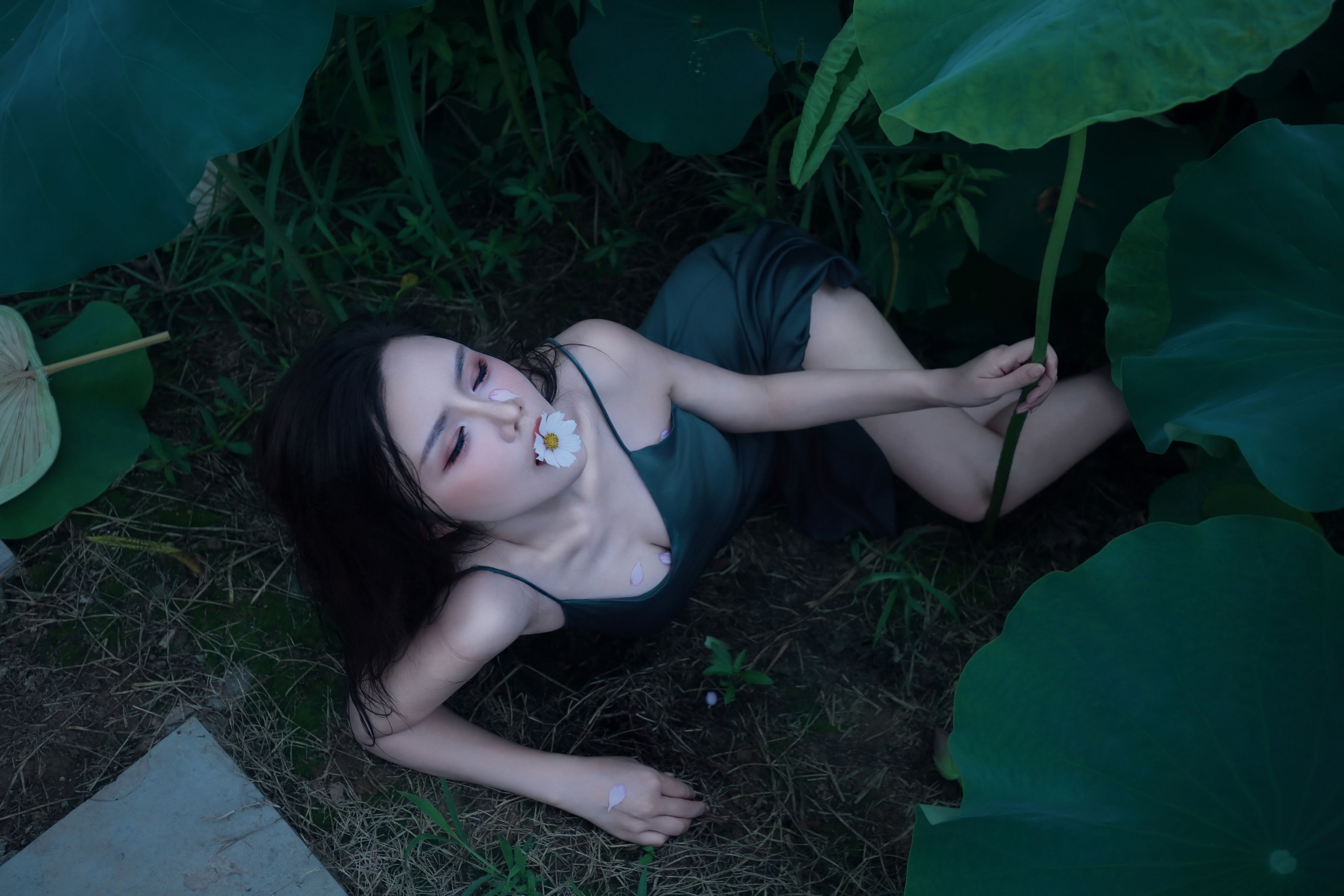 泽书 – 《碧罗栽夏》[18P]